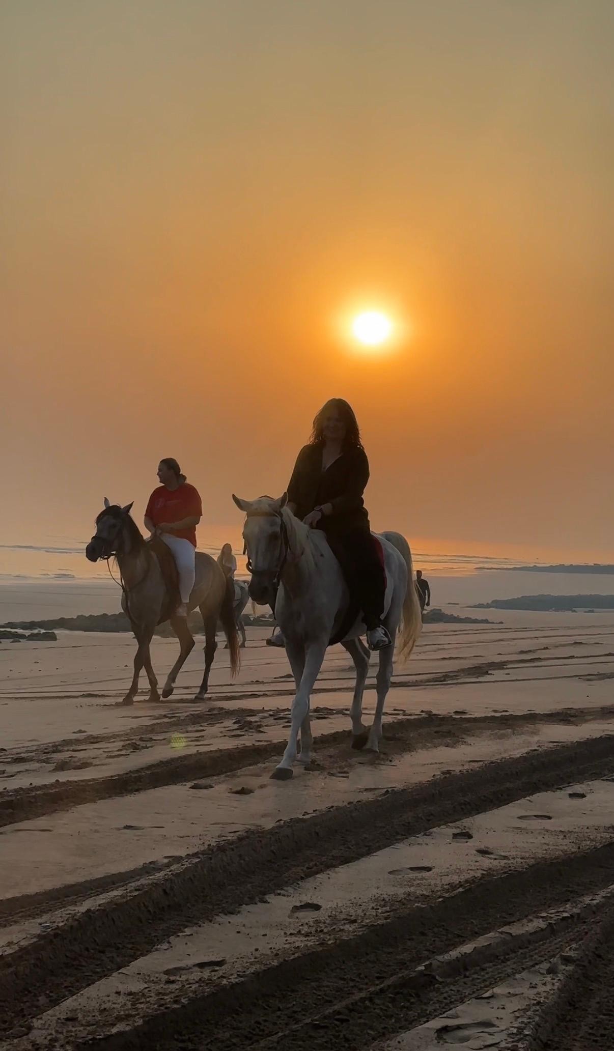 Muscat: Arabian Horse Riding on the Beach