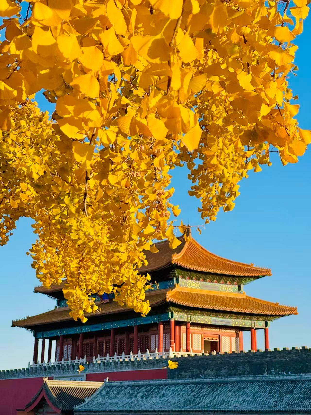Beijing: Sunworld Dynasty Hotel+Forbidden City+Great Wall