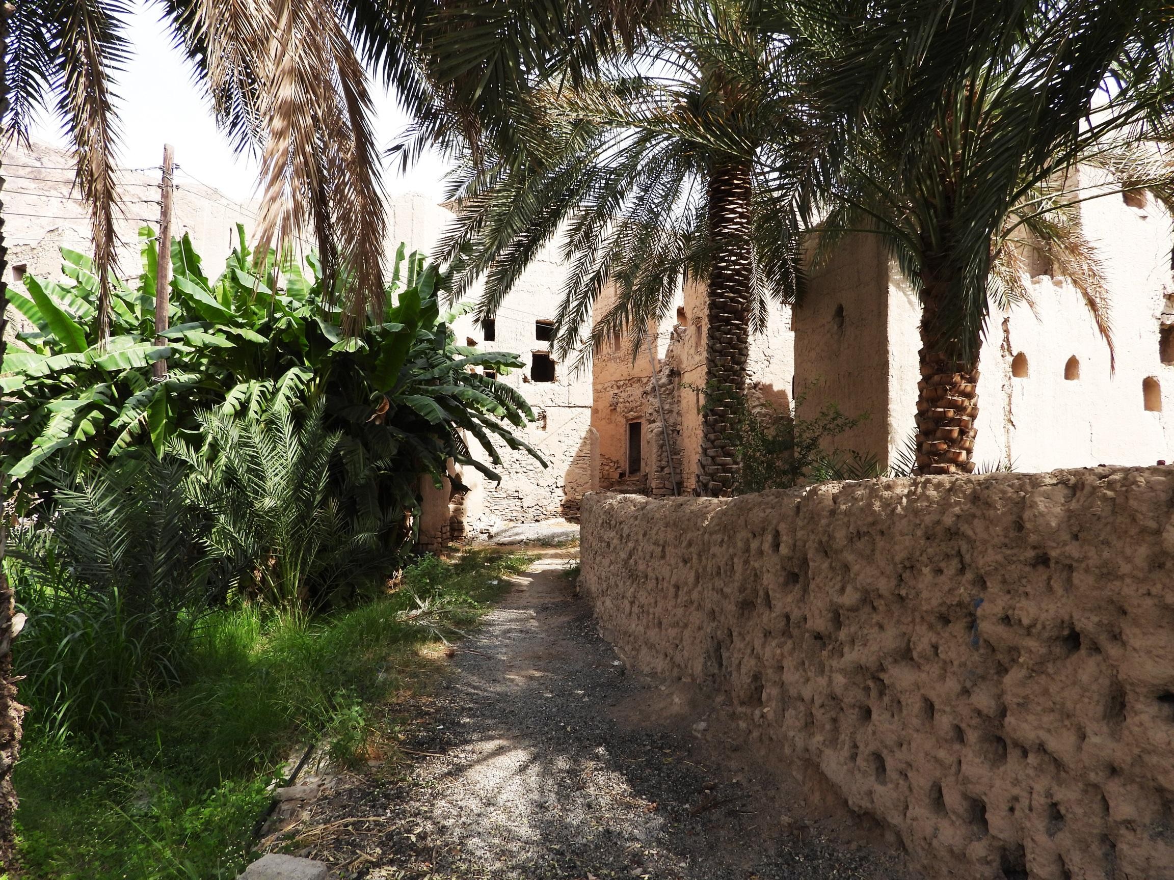 full day trip to Birkat Almouz&Nizwa souq&Fort&Falaj Daris. 3