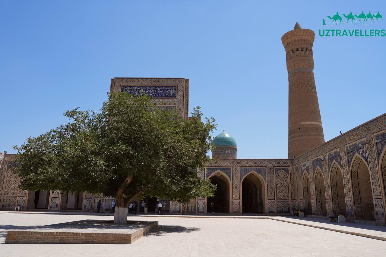 From Tashkent: 5-Day Khiva, Bukhara & Samarkand Tour 3