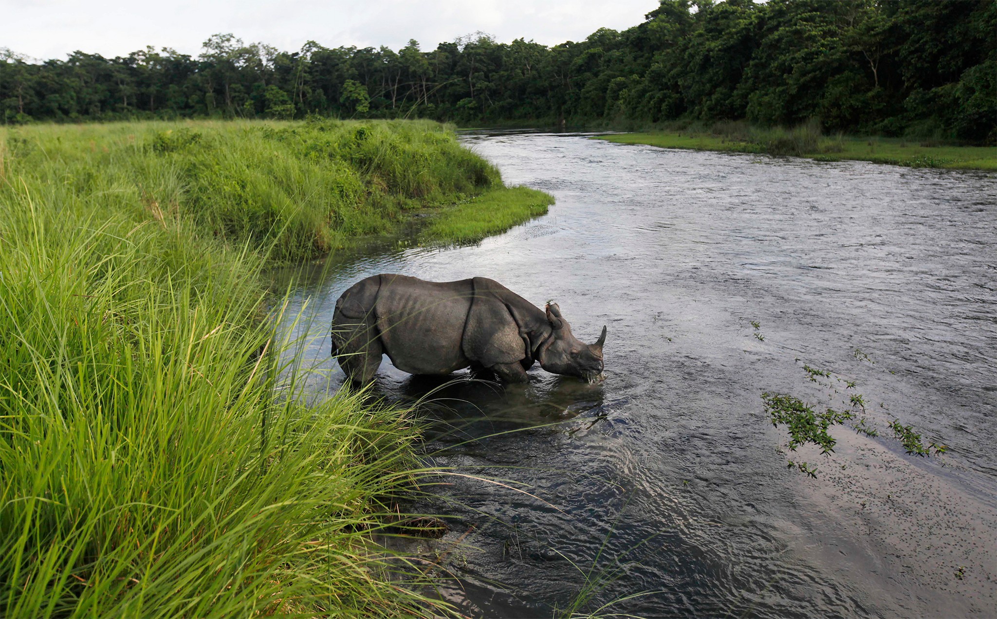 3 Nights 4 Days Chitwan National Park with Tower Night Stay 2