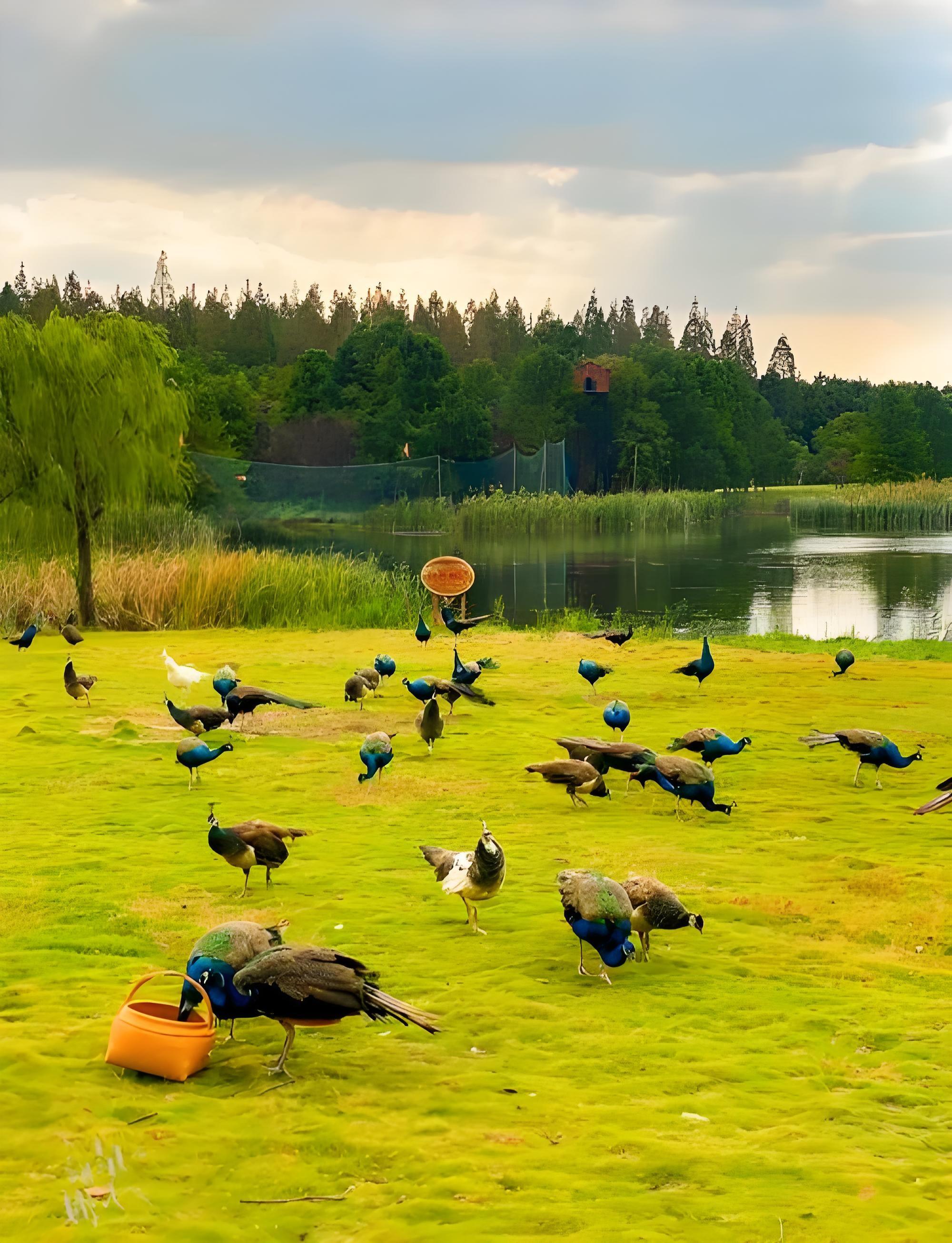Shanghai: Chongming Island Private Tour with Lunch 3