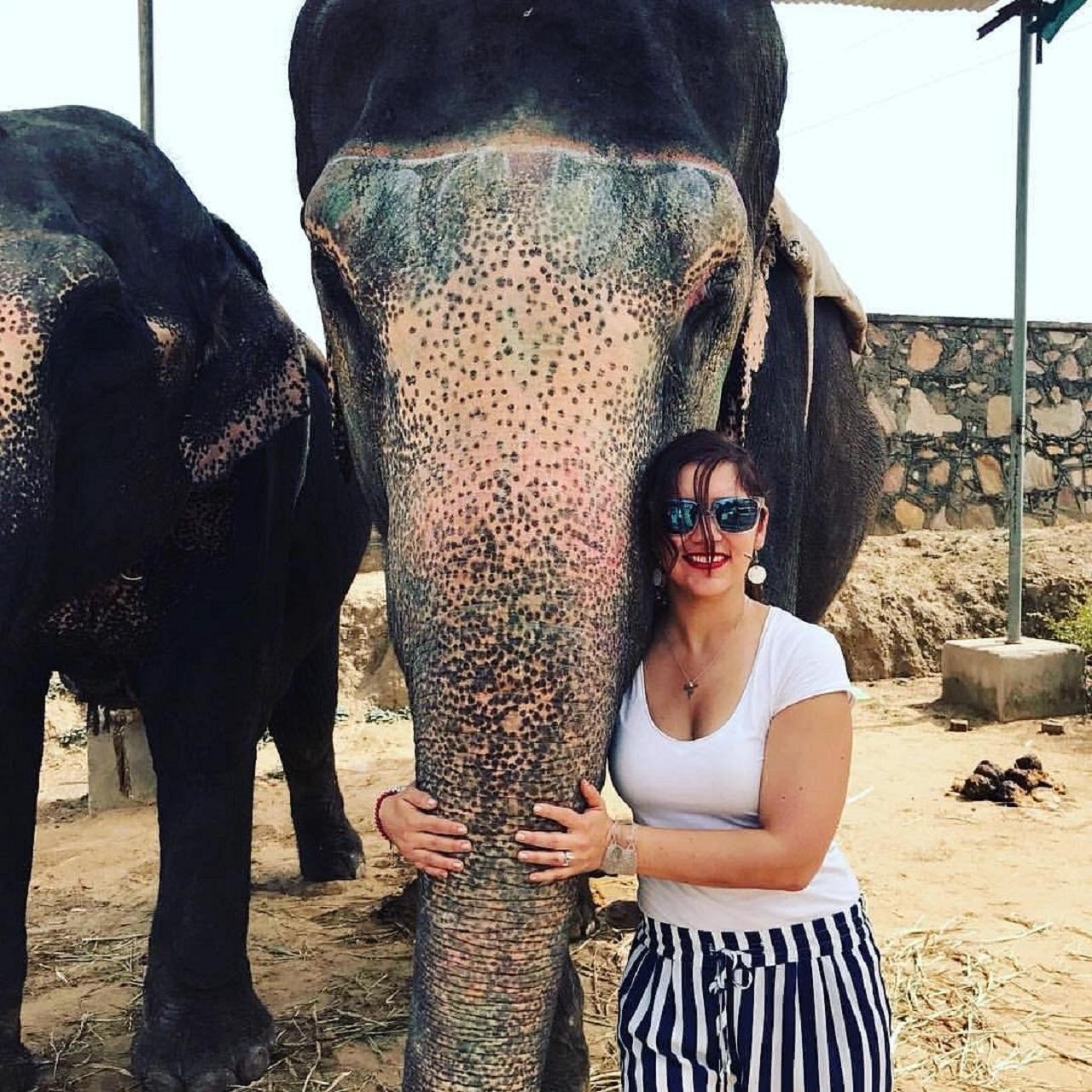 Jaipur: Elephant Sanctuary Tour with Pick up and drop off 2