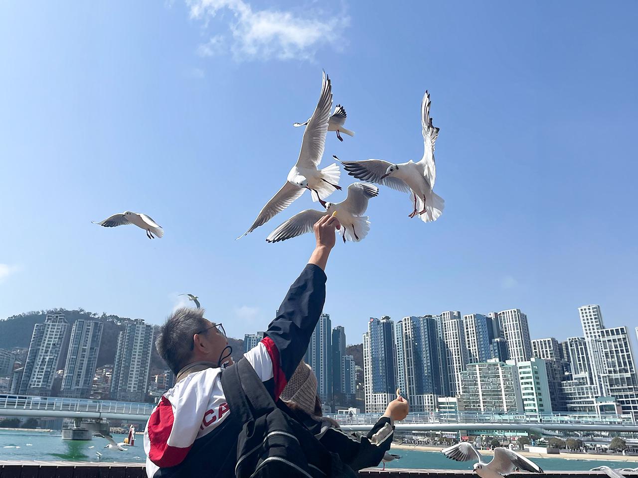 (Worry-Free Return) Busan Private Cruise Shore Excursion 2