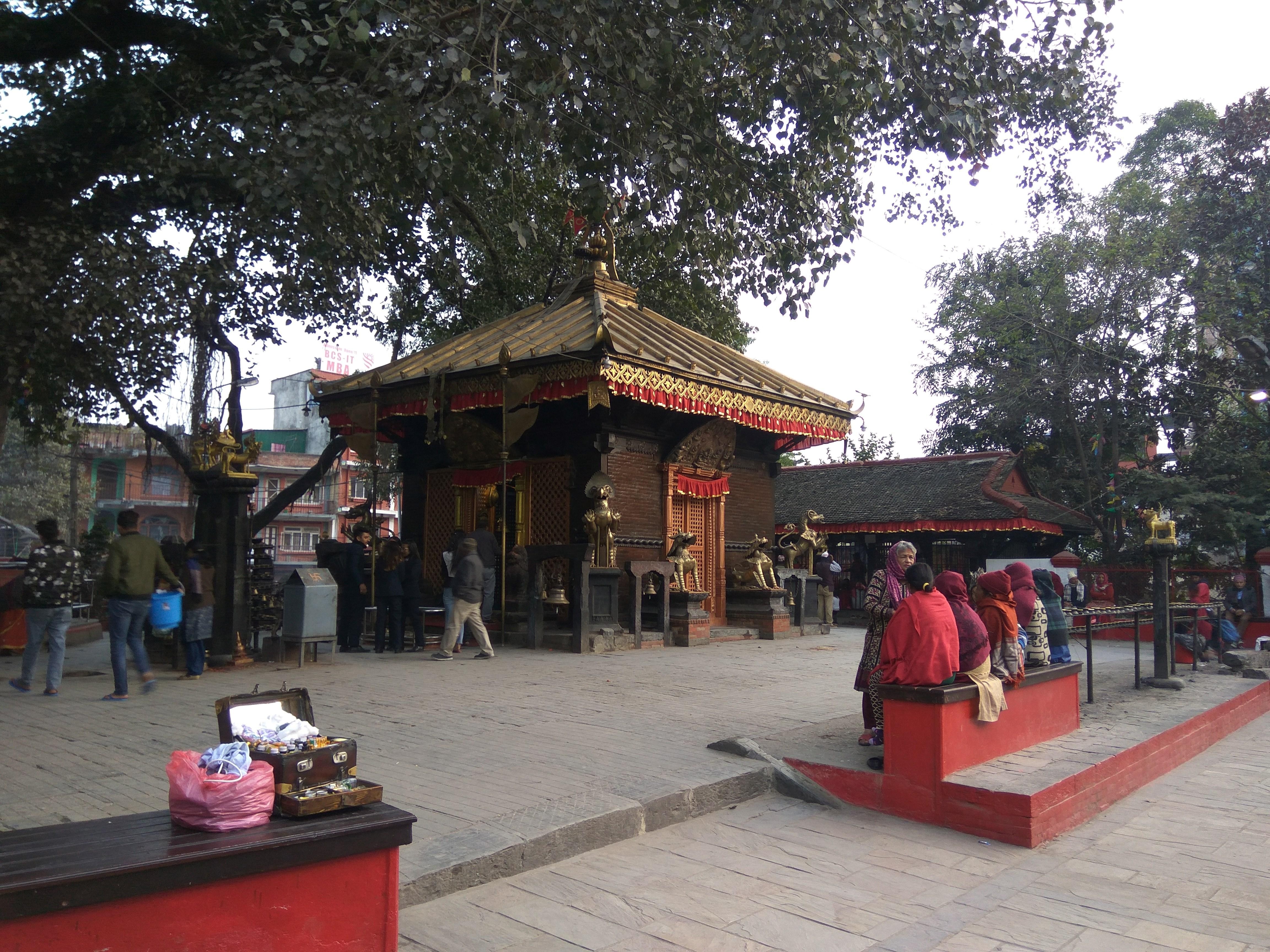 Kathmandu: Private Pashupatinath & Shaktipeeth Pilgrimage 3