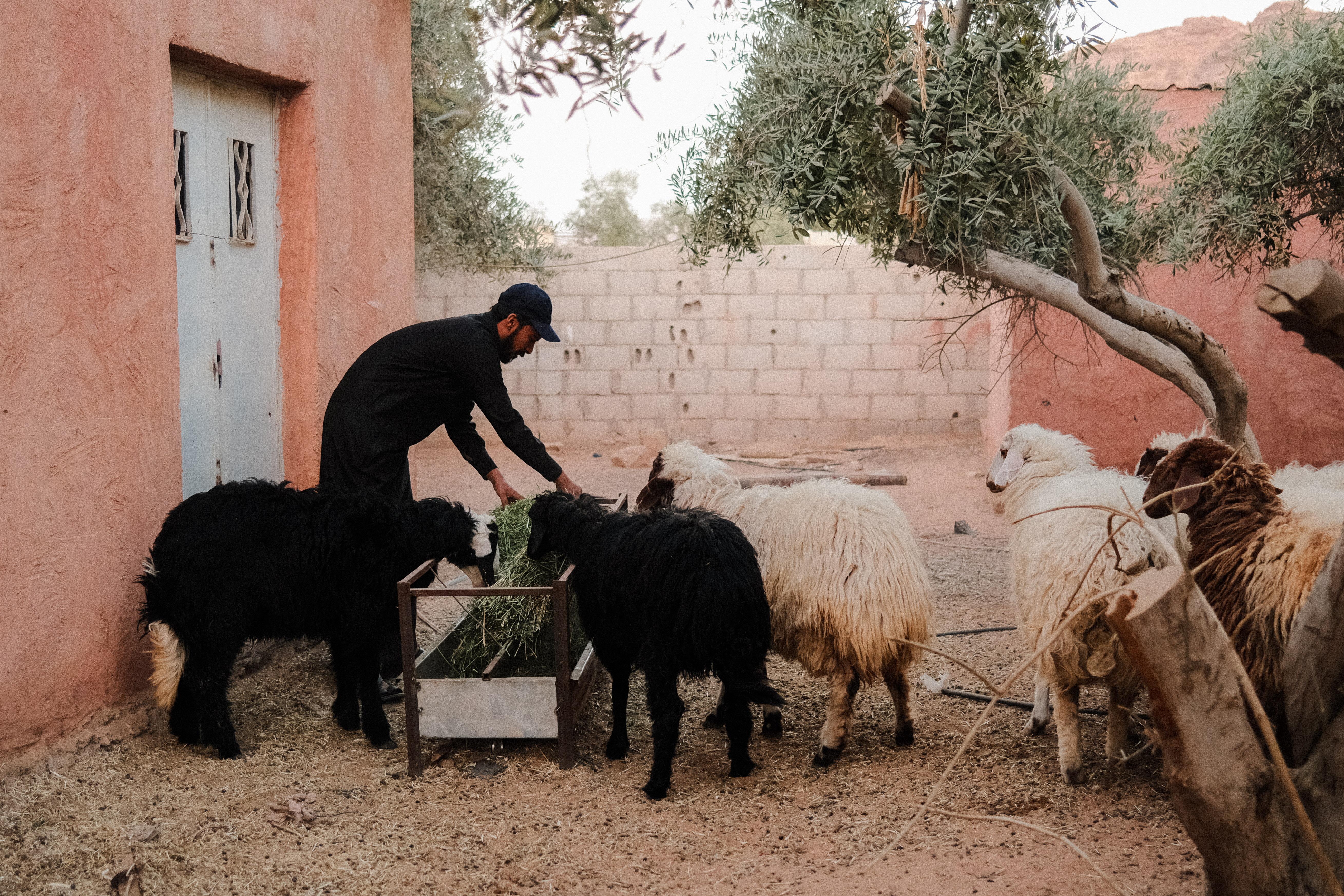 Wadi Rum: Private Nomadic Life Journey & Hidden Trails 3