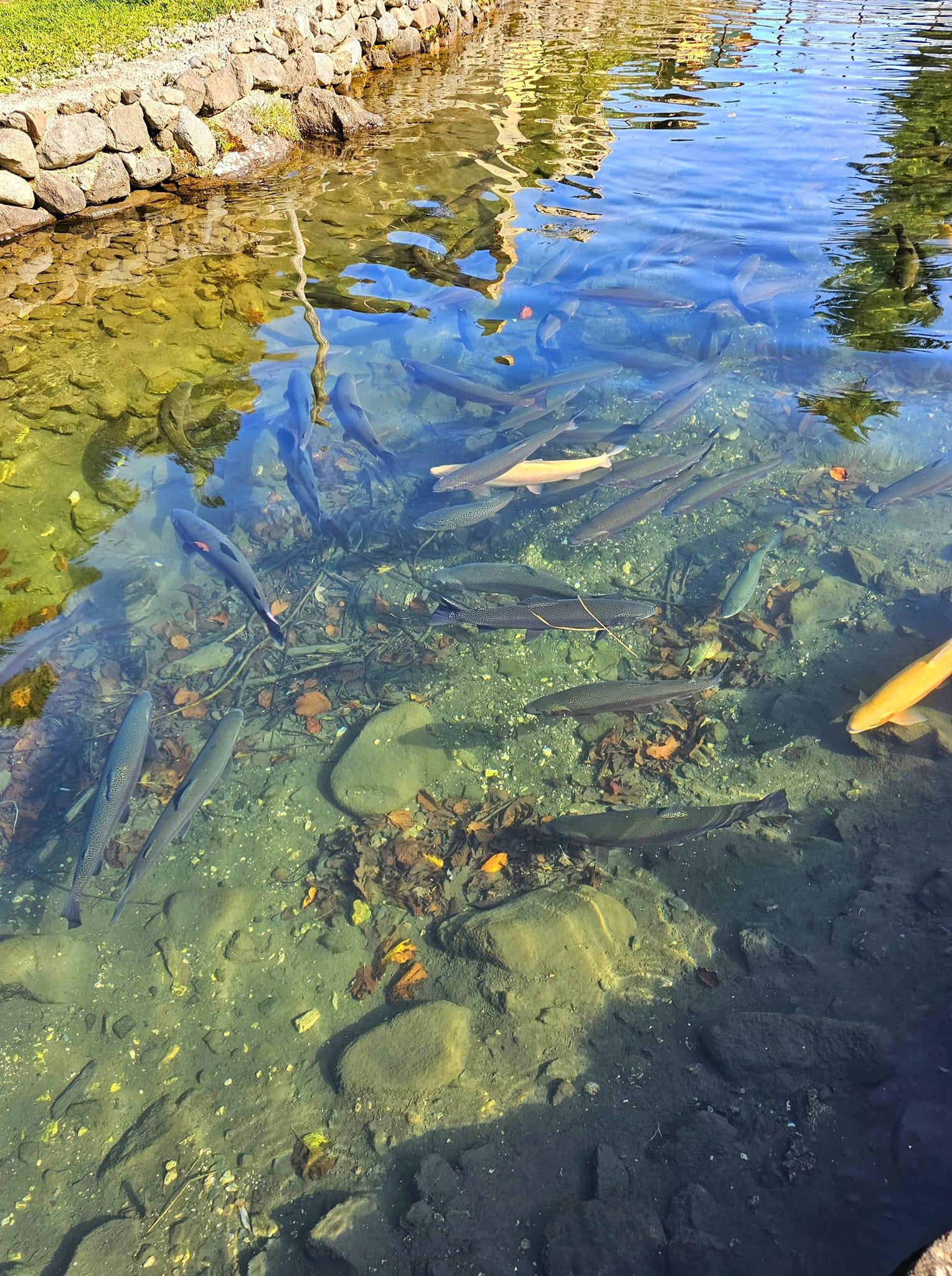 Kutaisi: Tetra Cave, Waterfalls & Mountain Lakes Adventure 2