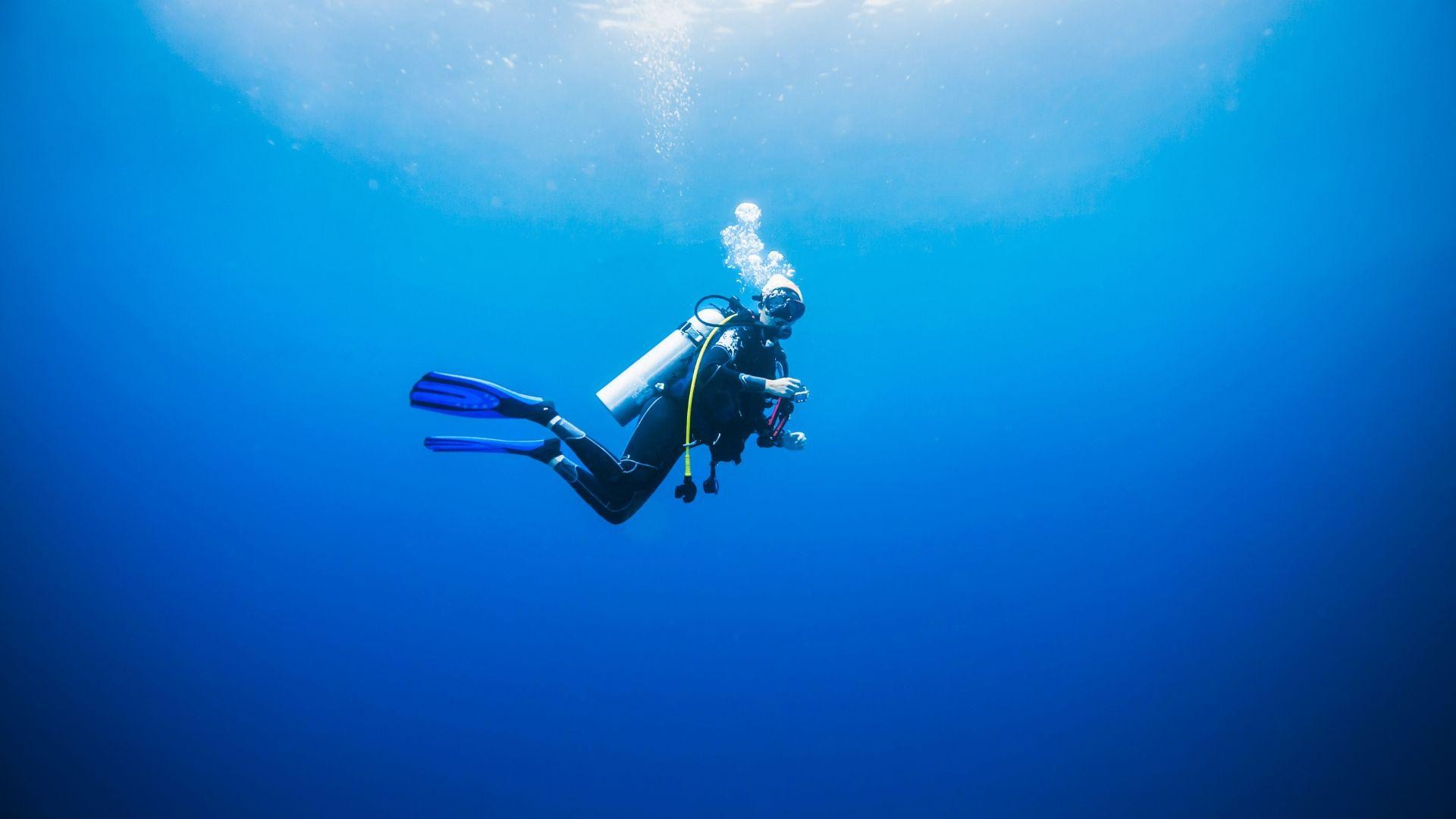 Dubai: VIP Private Scuba Dive with Free Hotel Transfer 3