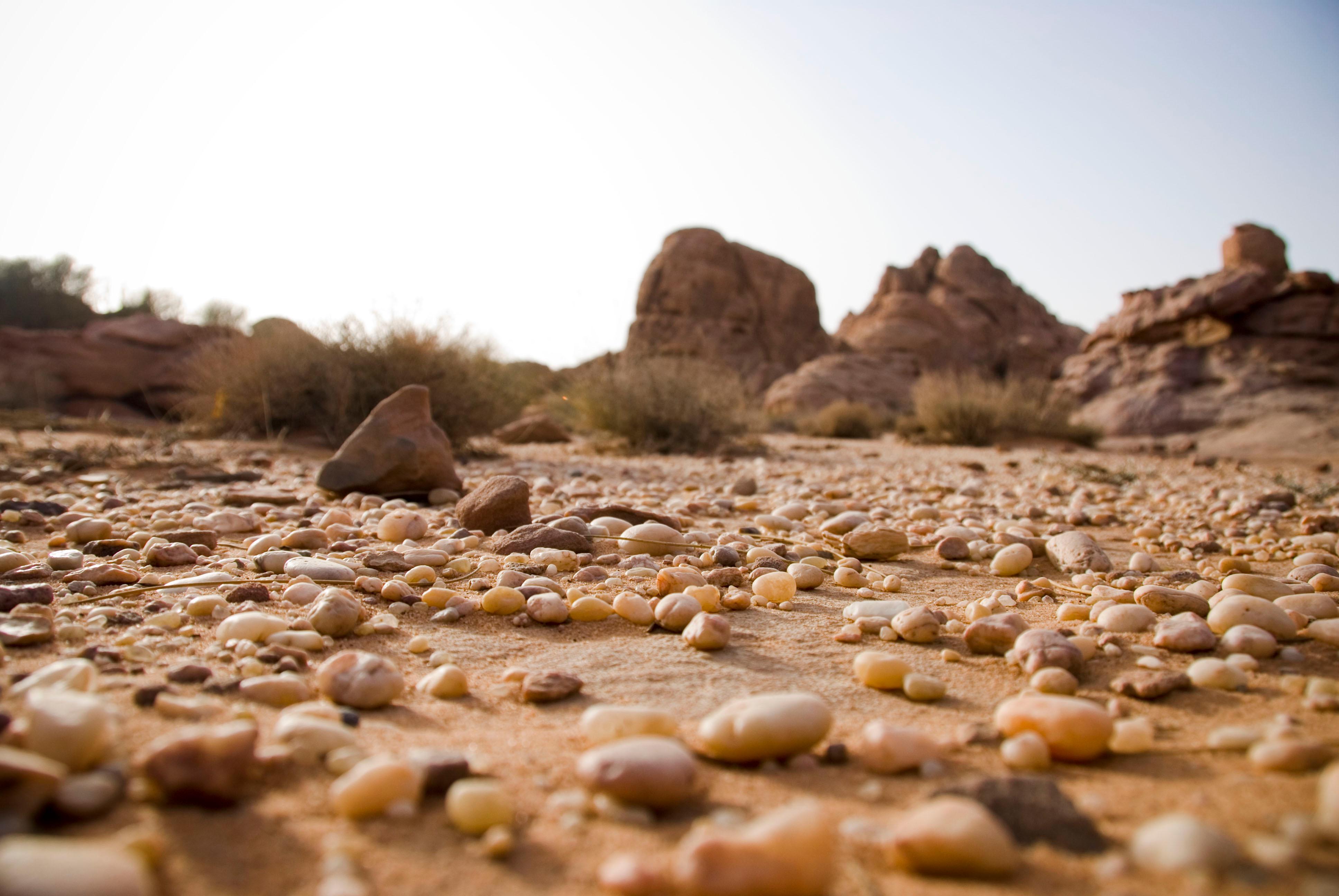 Wadi Rum: 9 Hour Jeep Tour Pass, Camel, Sandbording & Lunch 3