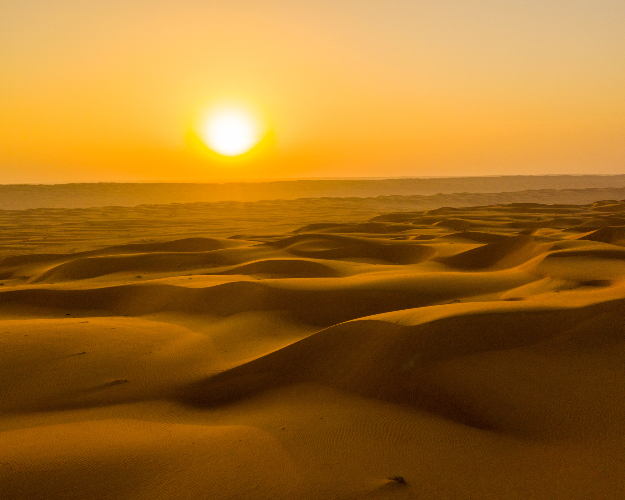 Golden Hour Magic: Rub' Al Khali Desert Sunset Tour 2