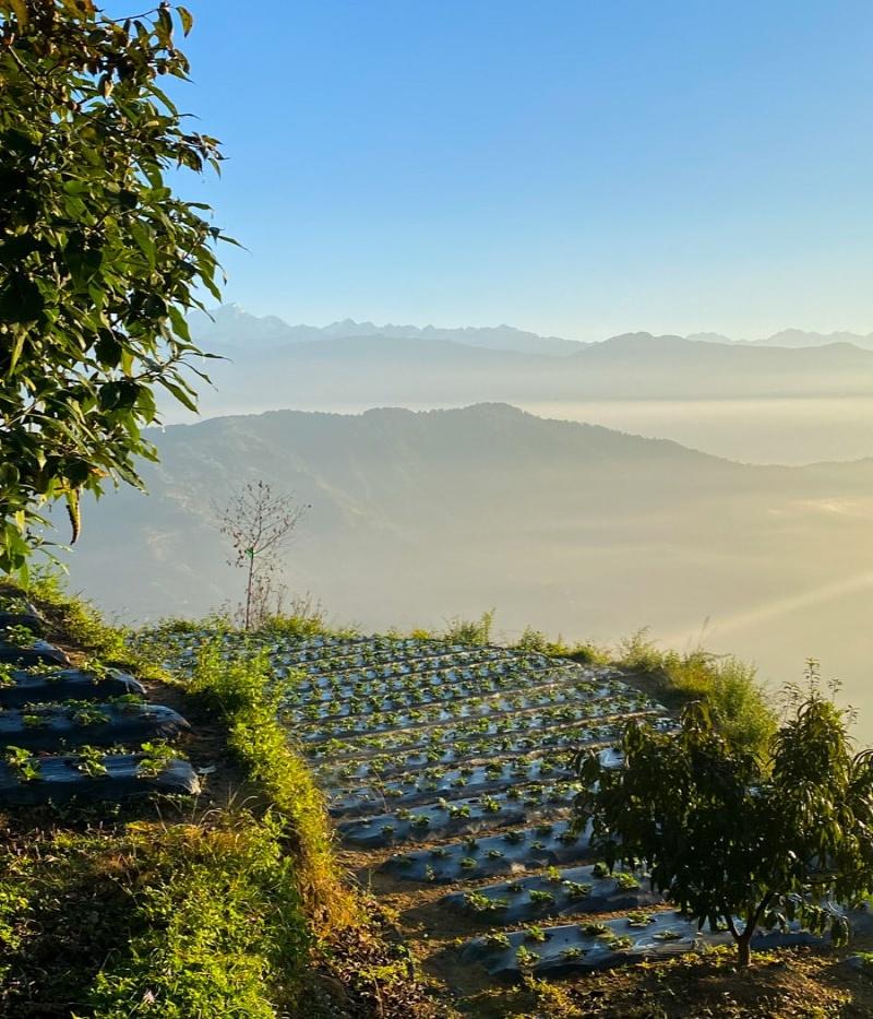 From Kathmandu: Sundarijal to Dhap Dam Guided Hike 2