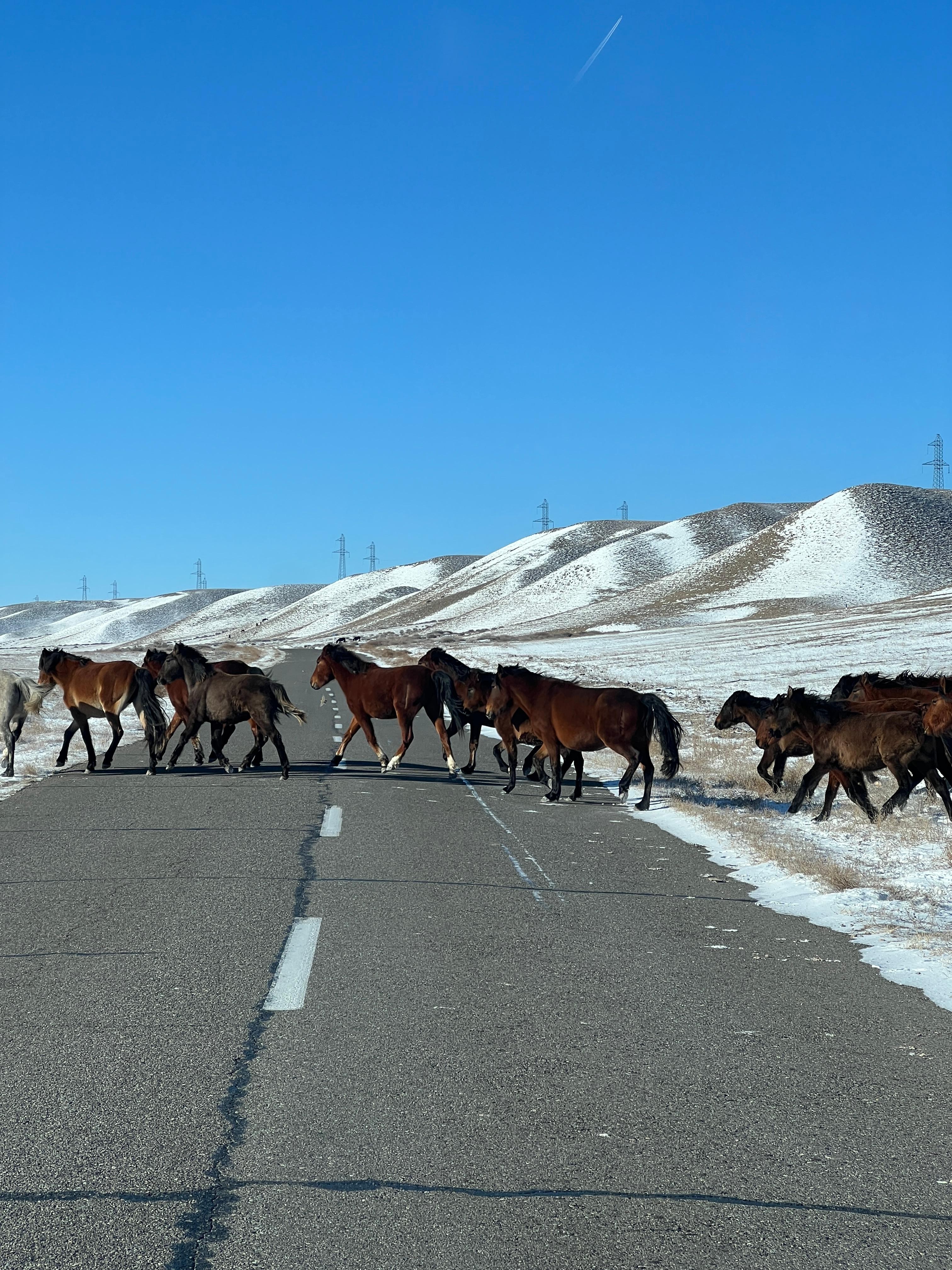 From Almaty: Kolsai Lakes, Black Canyon & Charyn Canyon Tour 3