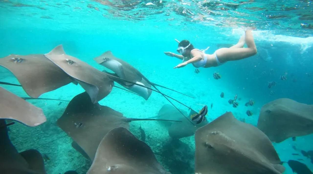 Malé: Discover South Ari Atoll - Full Day Tour from Malé 3