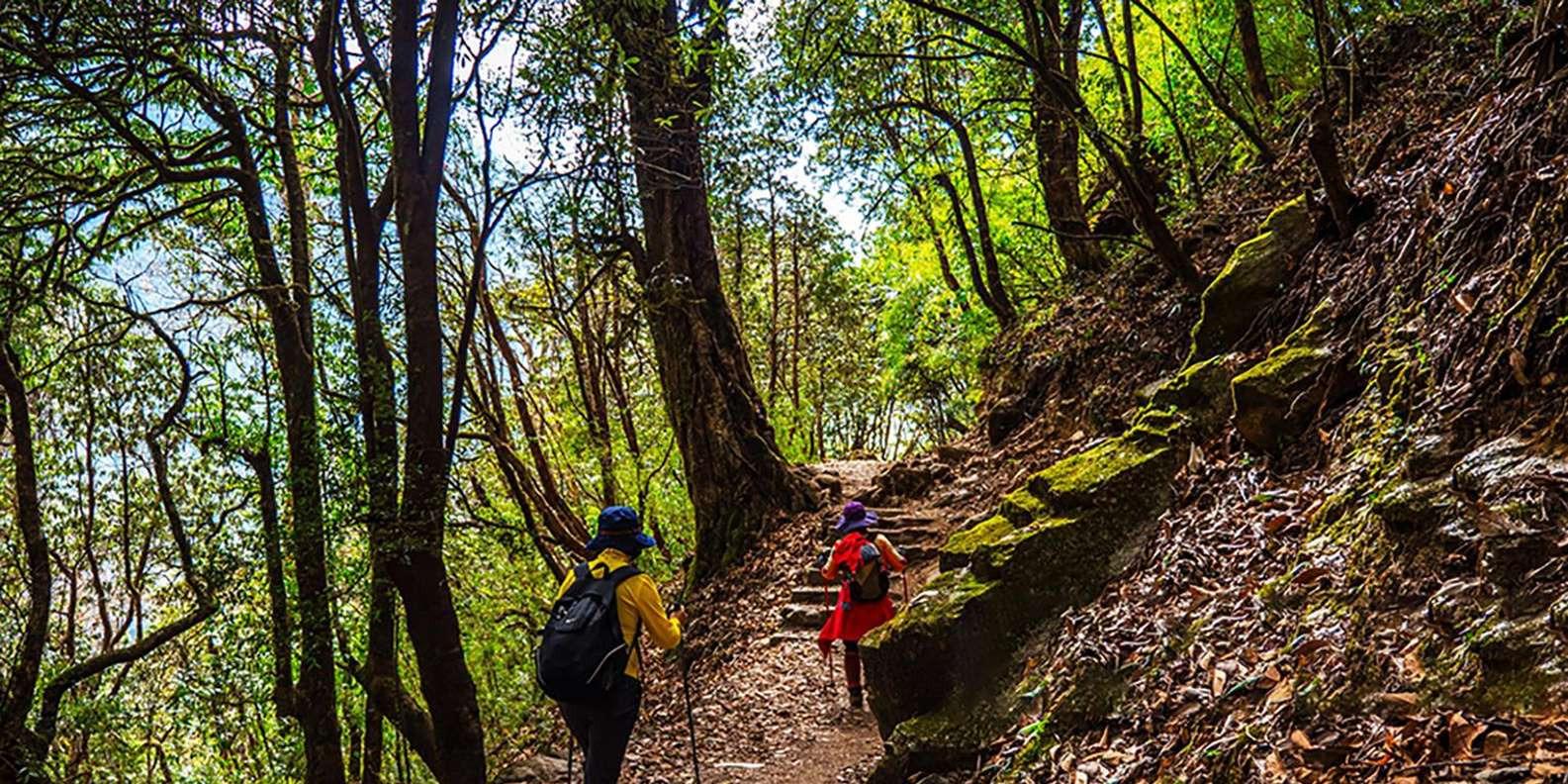 Pokhara: Day Hike to Pritam Deurali & Australian Base Camp 3