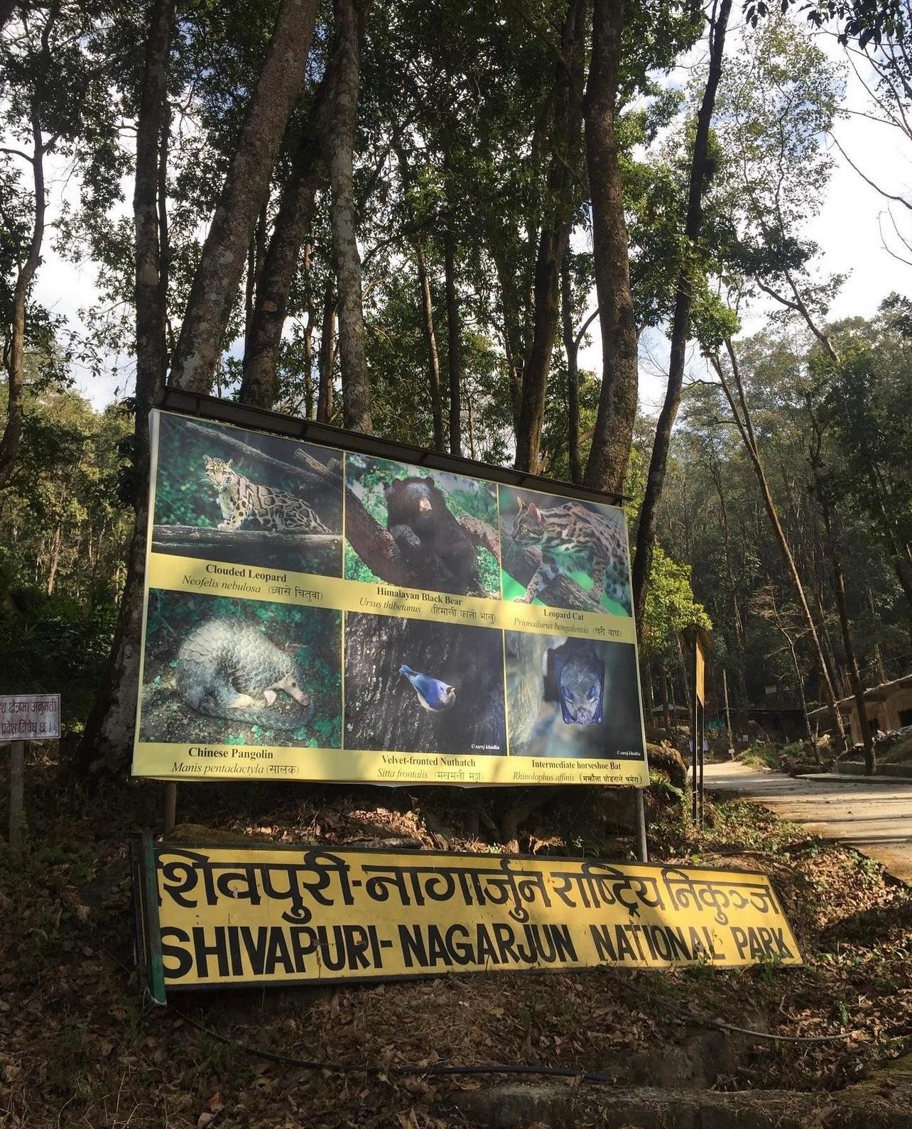 Kathmandu: Jamacho (Nagarjung Danda) Day Hike 2
