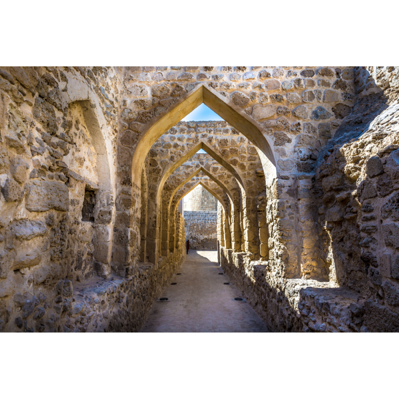 Manama: Bahrain City and Desert Tour with Transfers 2
