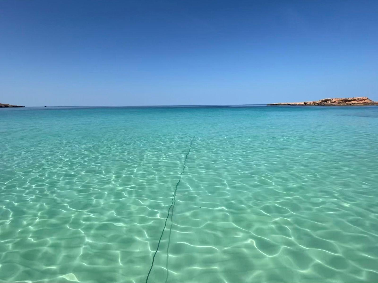 Muscat: Dolphin Watch & Snorkeling 3
