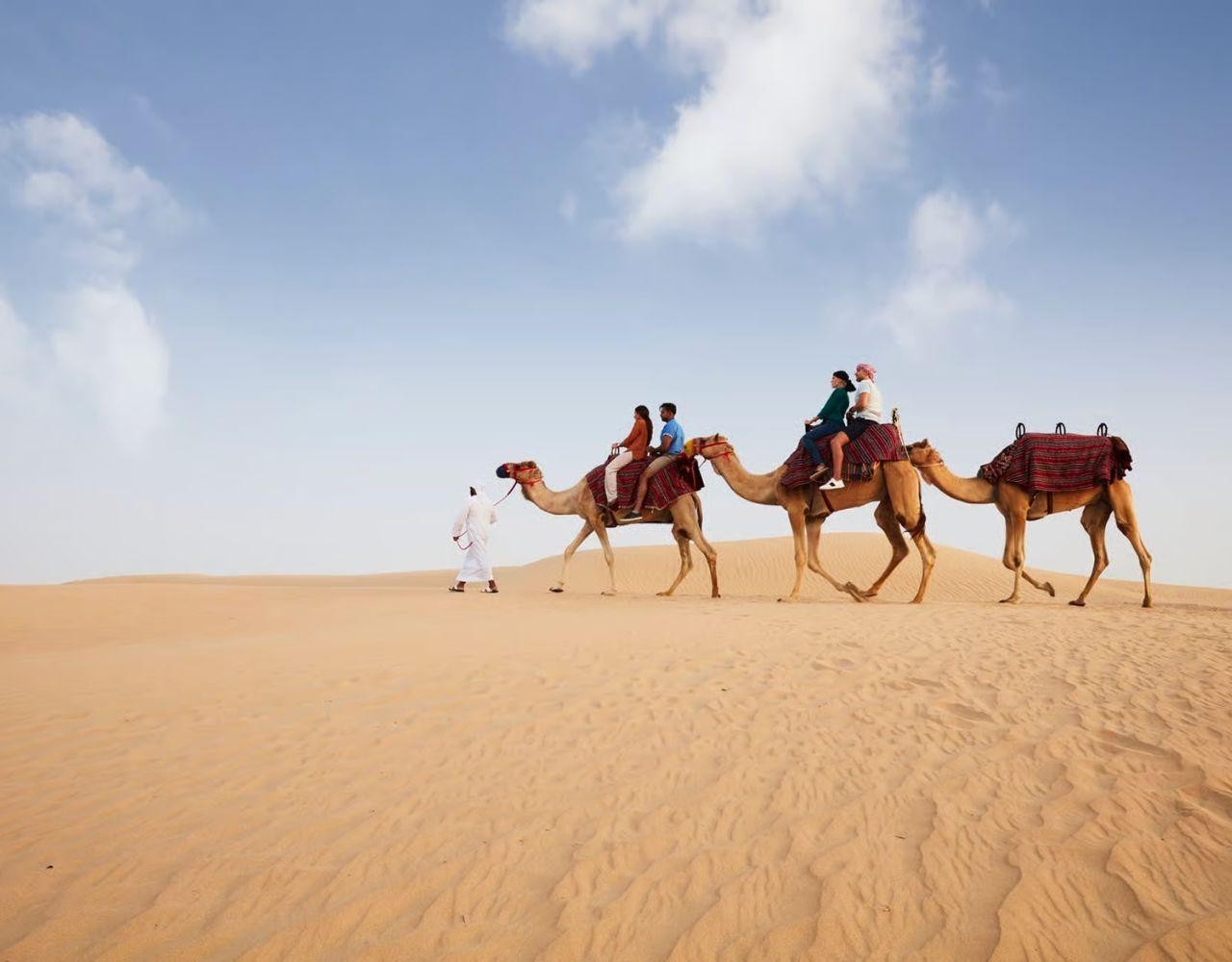 Doha: Guided Transit Desert Safari Tour with Transfers 3