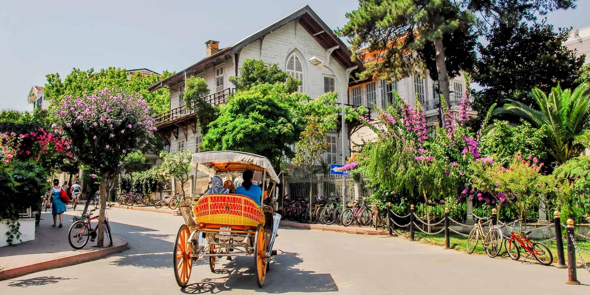 İstanbul: Prince Island Full Day Tour 2
