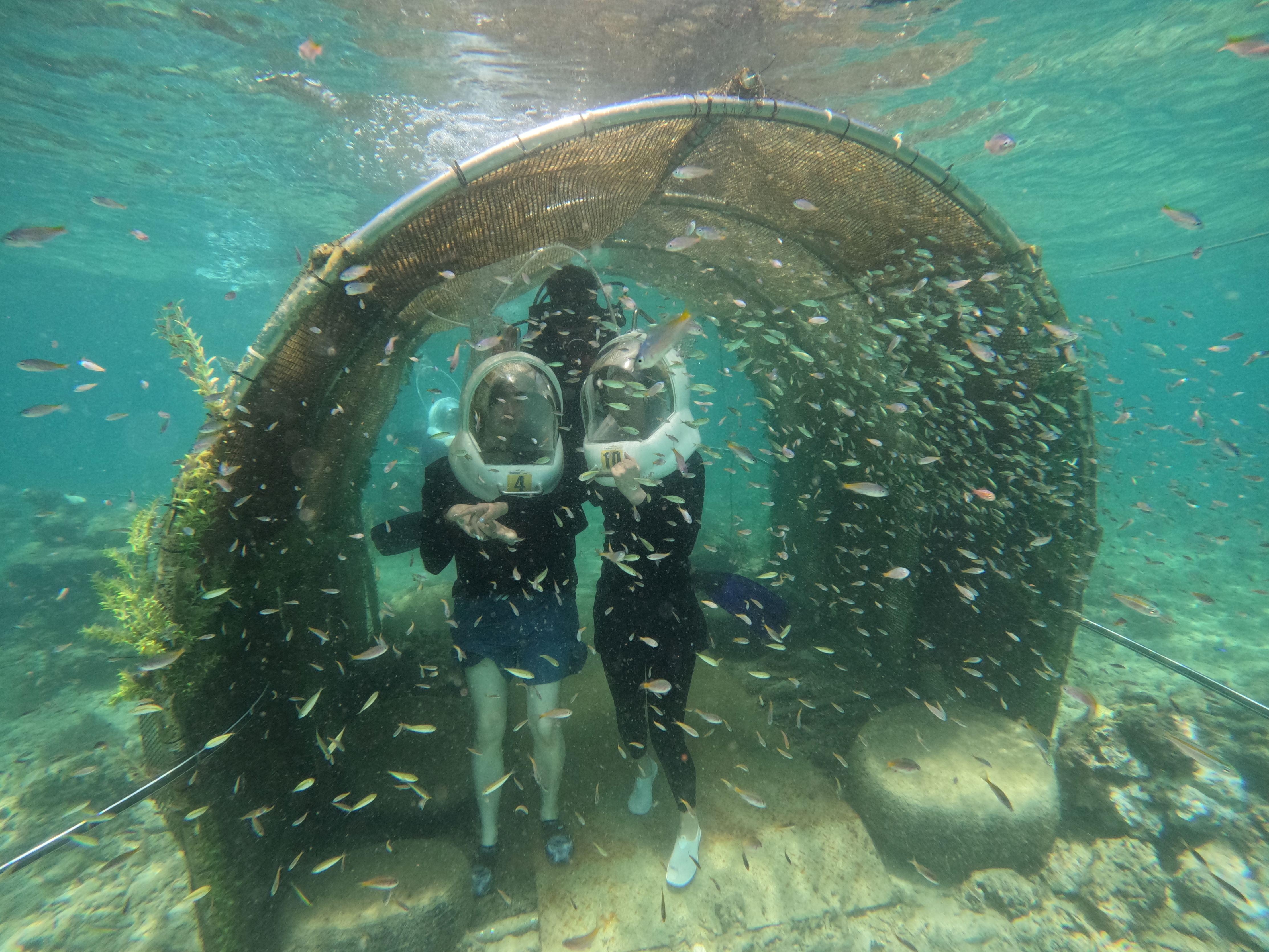 Manukan + Sapi Islands Underwater Adventure Seawalking Tour 2