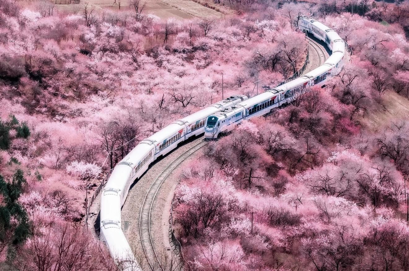 Beijing: Private Great Wall, 798Art District, & Houhai Tour