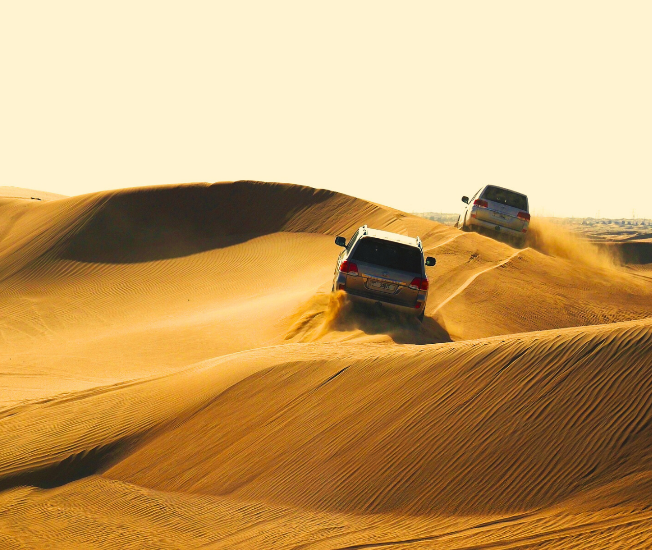 "Doha Desert Safari with all activities"