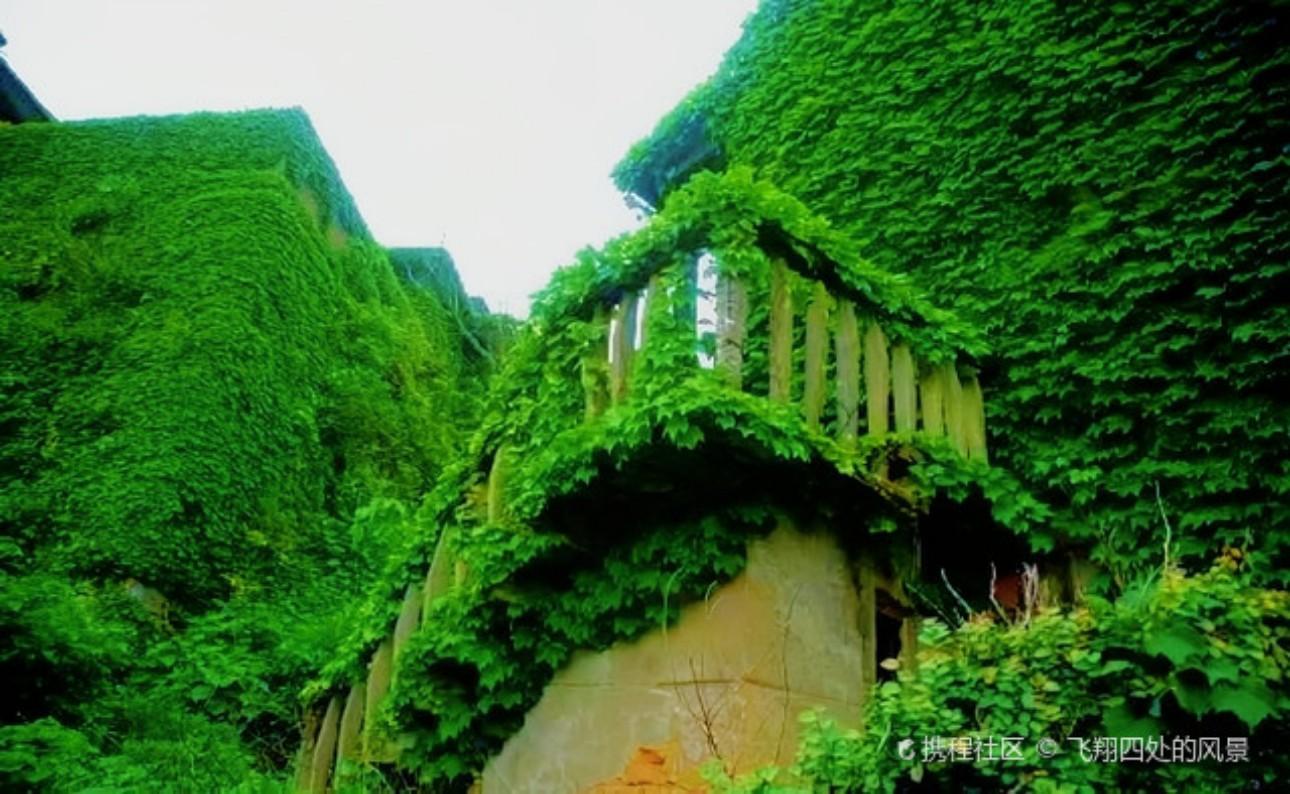 Shanghai: Shengsi 3-Day Private Tour & Floating Sea Farm 3
