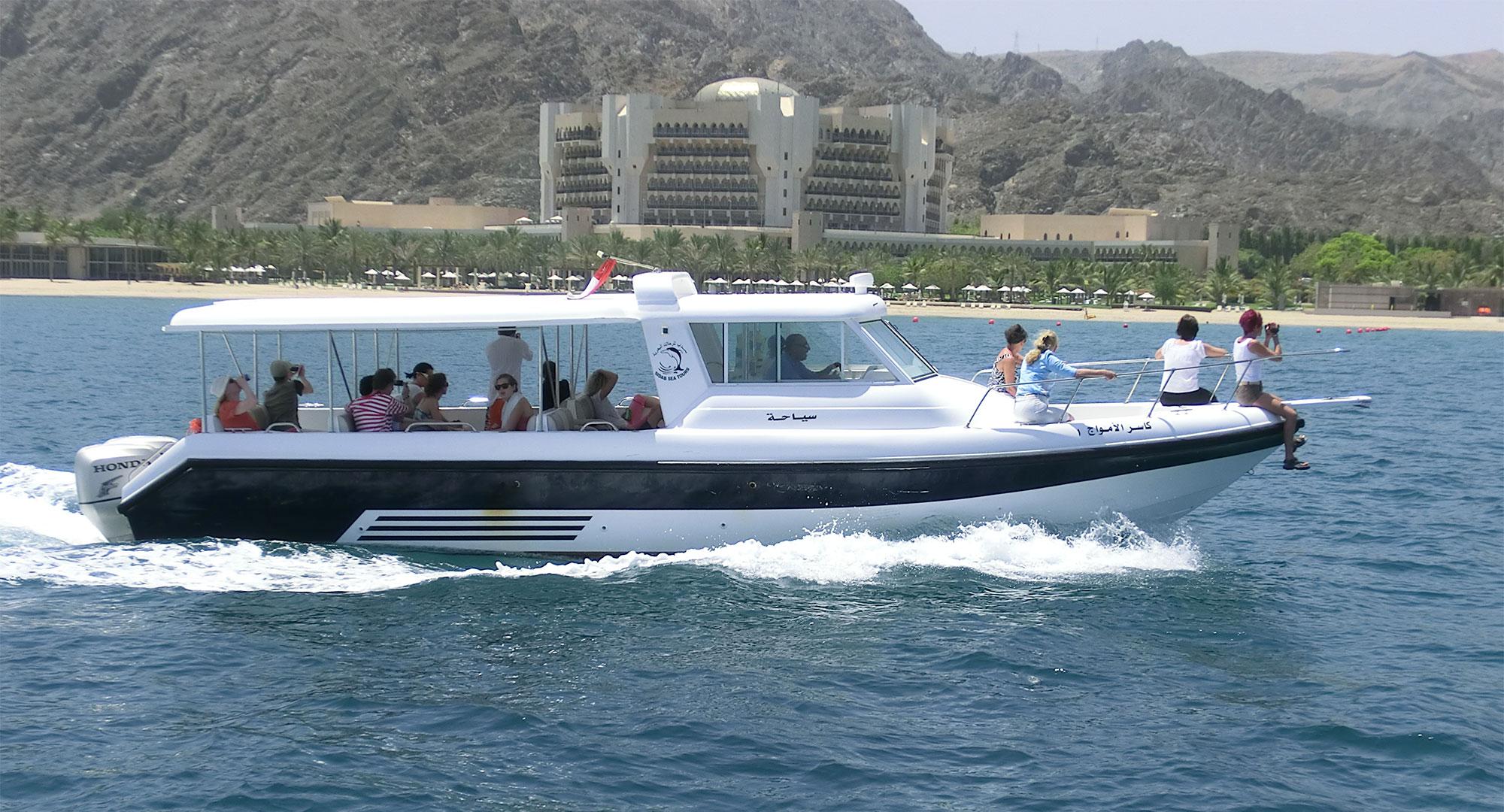 Muscat: Dolphin Watching Boat Amazing Trip 3