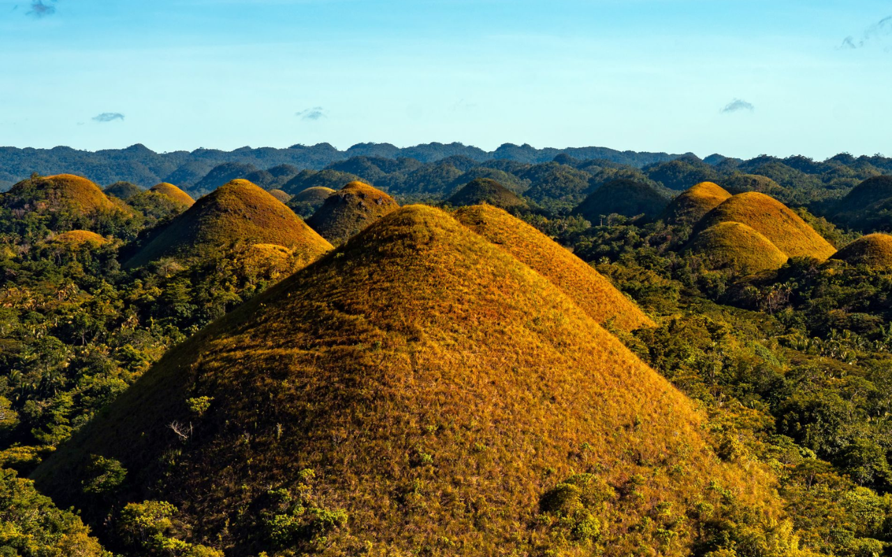 Bohol Day Tour From Cebu City or Mactan (Private Tour) 2