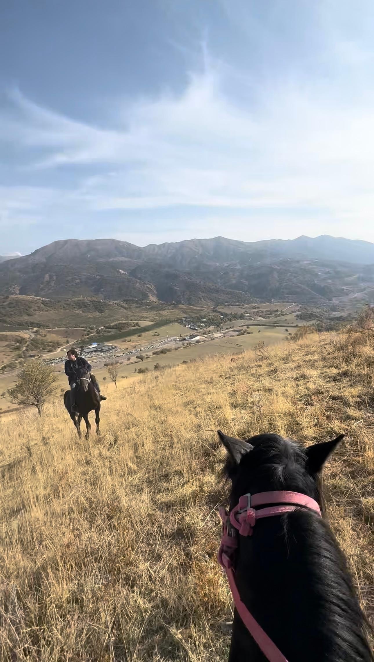 From Tashkent: Luxury Horseback Riding Tour in the Mountains 3