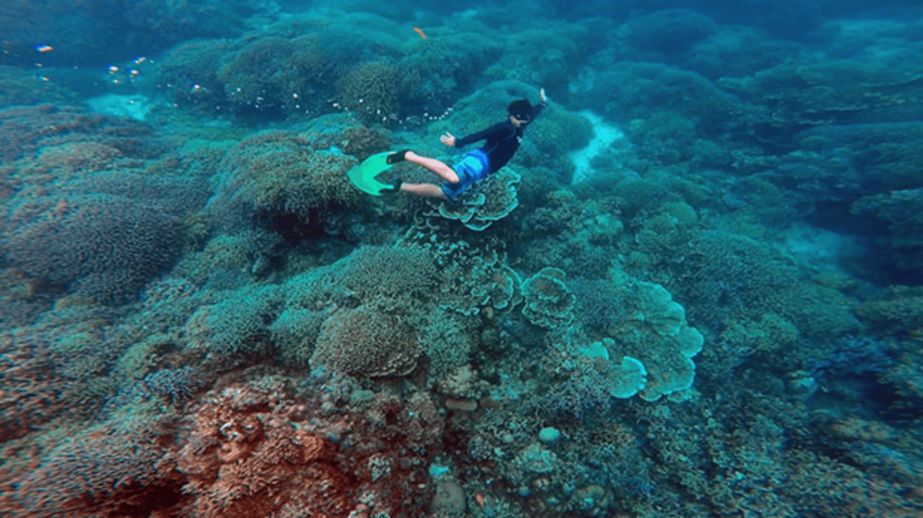Ultimate 4-Day Cebu to Bohol Tour 3