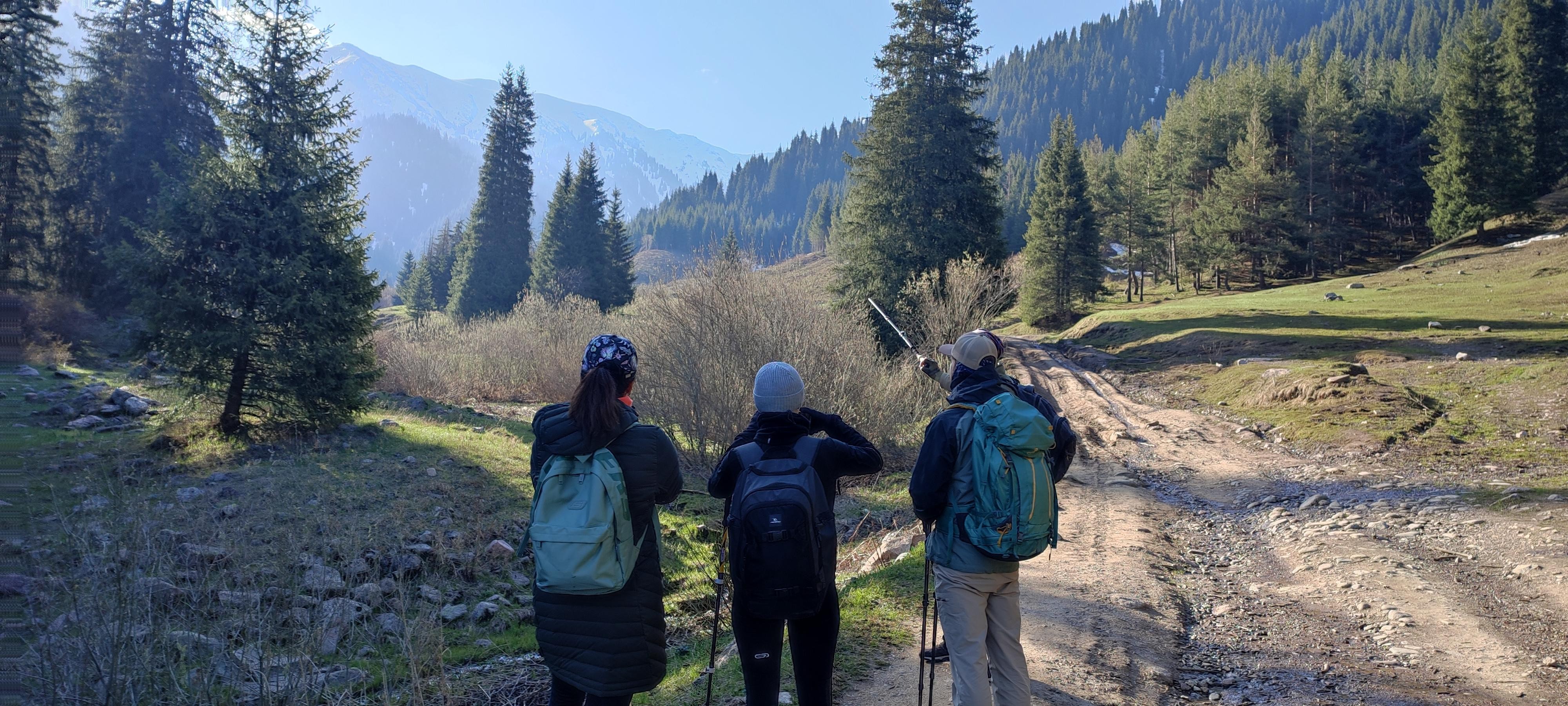 Almaty: Bukreev Peak Hike (3010 m) via Butakovka Gorge