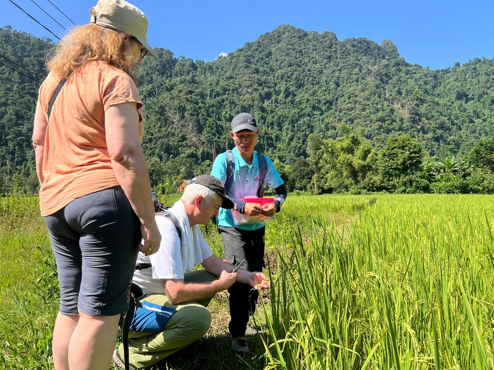 Vang Vieng: Guided Cultural Heritage & Waterfall Tour 2