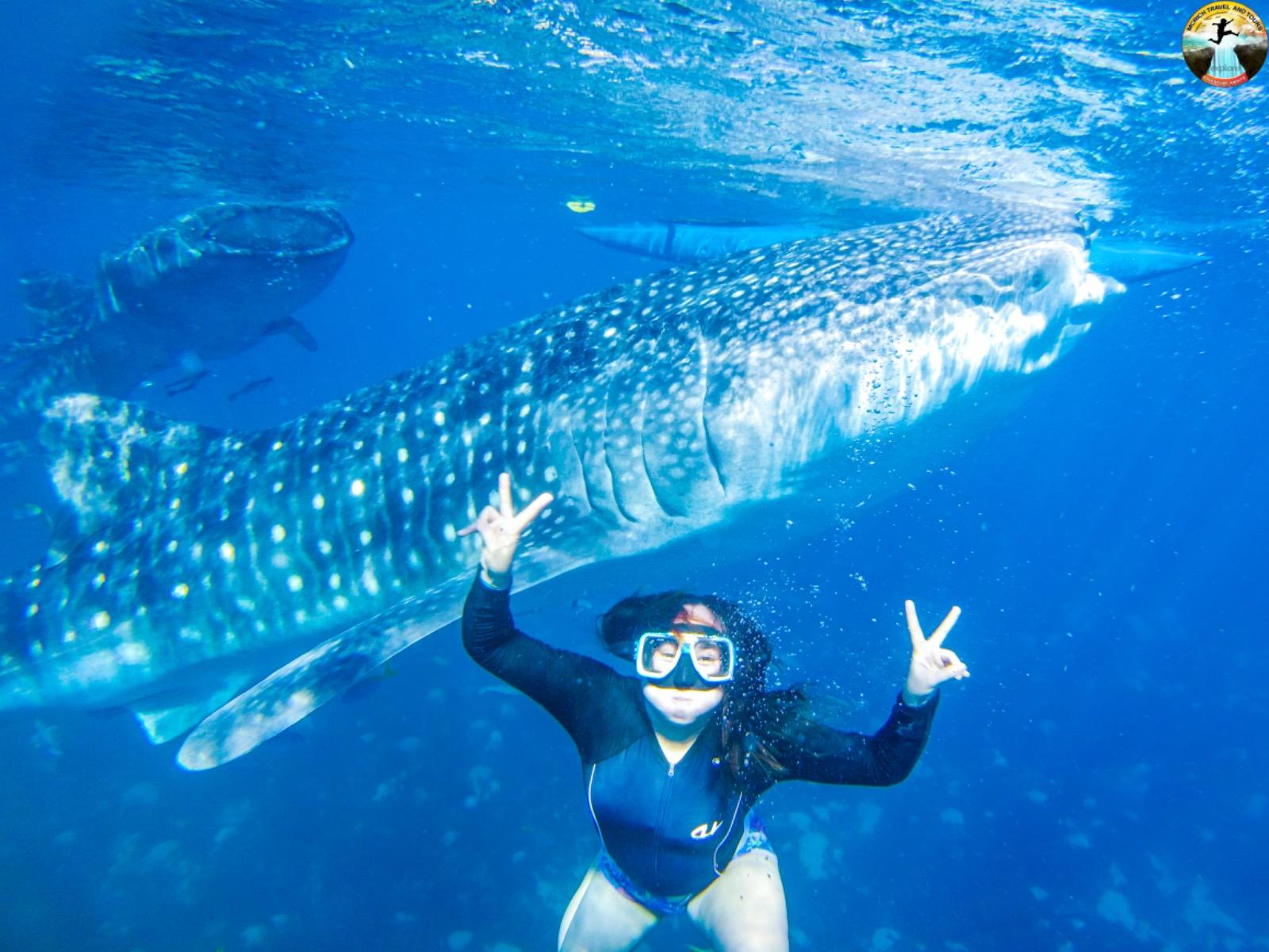 Cebu: 2-Day Island-Hopping, Canyoneering, and Whale Shark 3