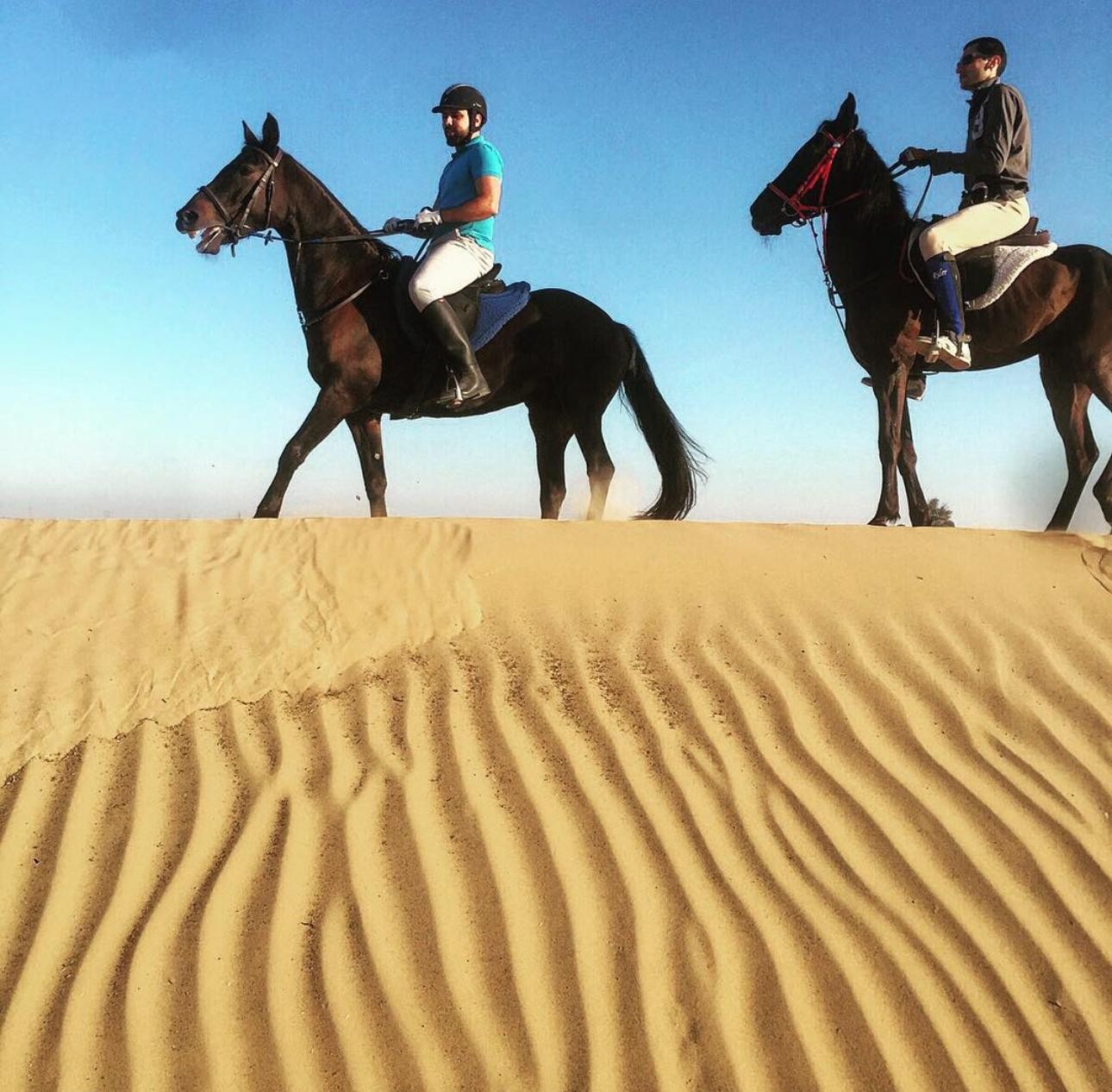 Doha : Arabian Horse Ride Experience With Pickup & Drop Off 2