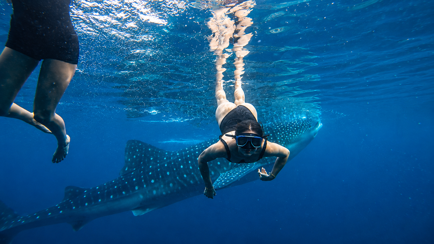 Oslob Whale Shark, Aguinid Falls & Osmeña Peak + Free GoPro