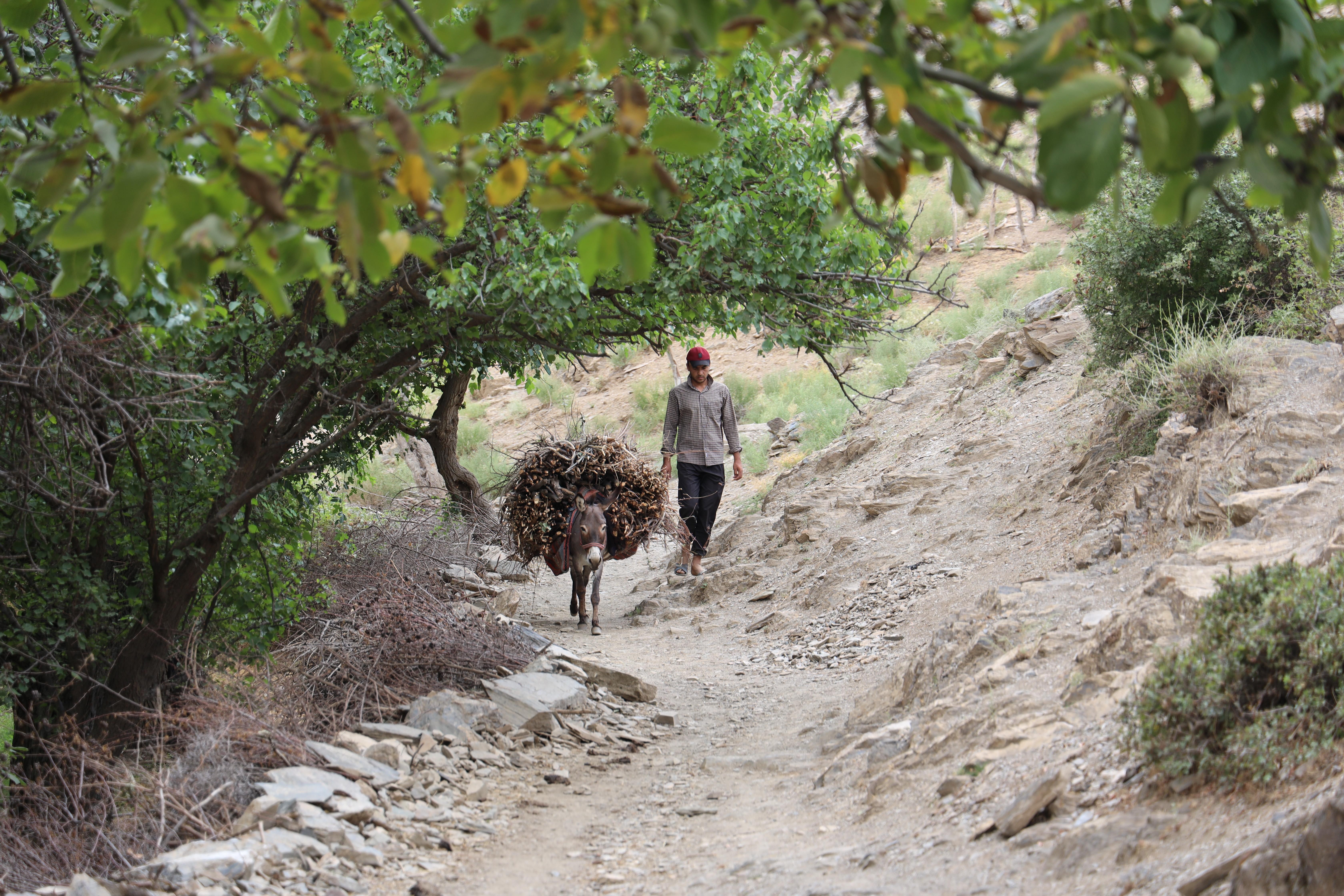 From Samarkand: Undiscovered Uzbekistan – Ukhum Village Tour