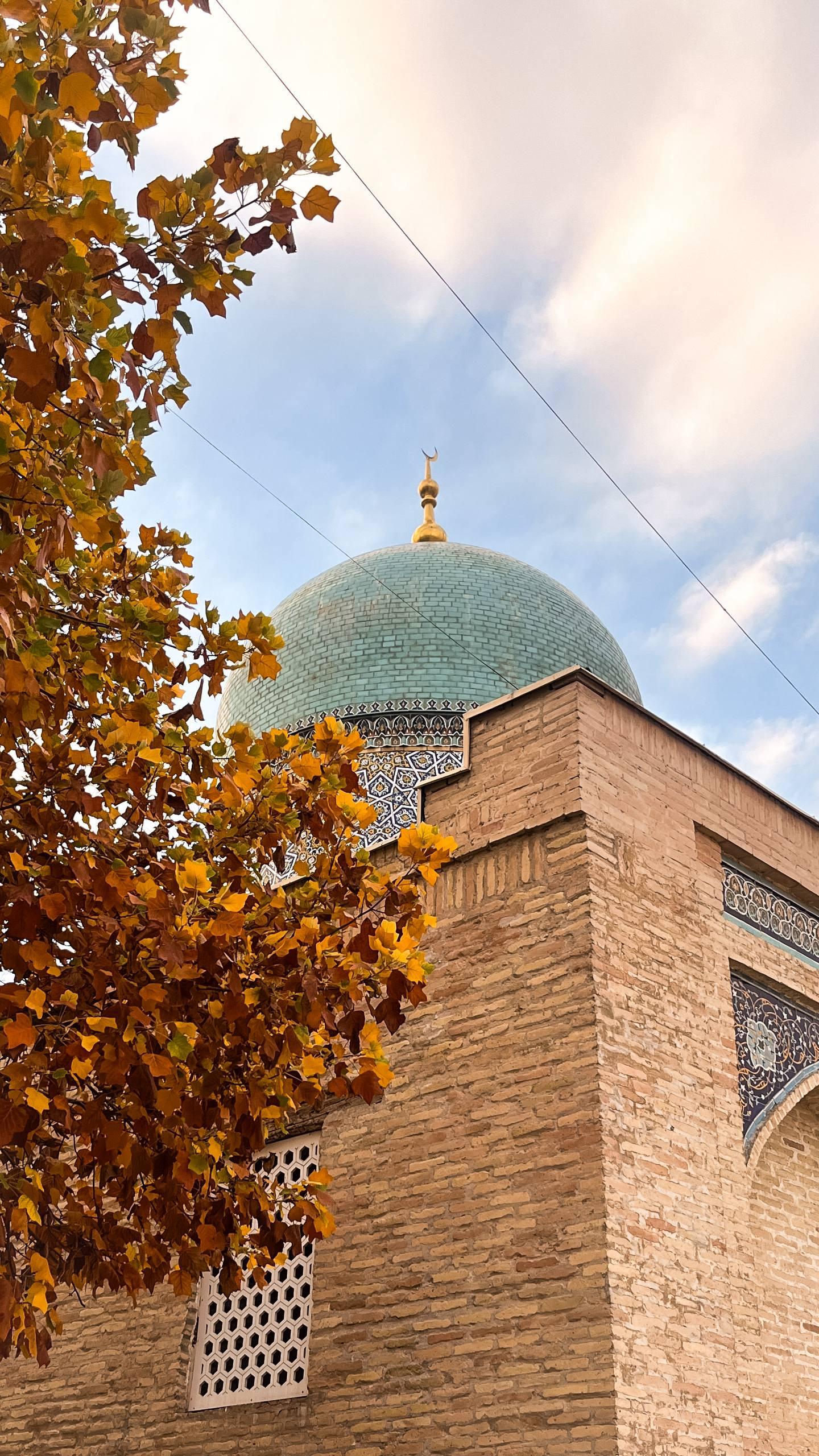 Tashkent: Hidden Gems & Local Food 2