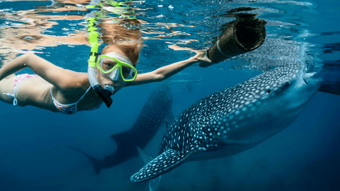 Ultimate 4-Day Cebu to Bohol Tour 2