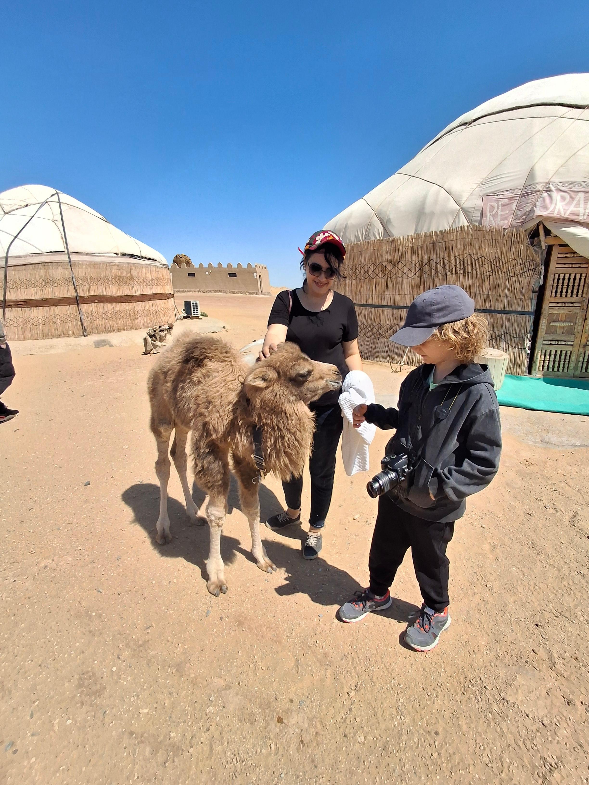 Khiva: Guided City Walking Tour with Local Guide 3