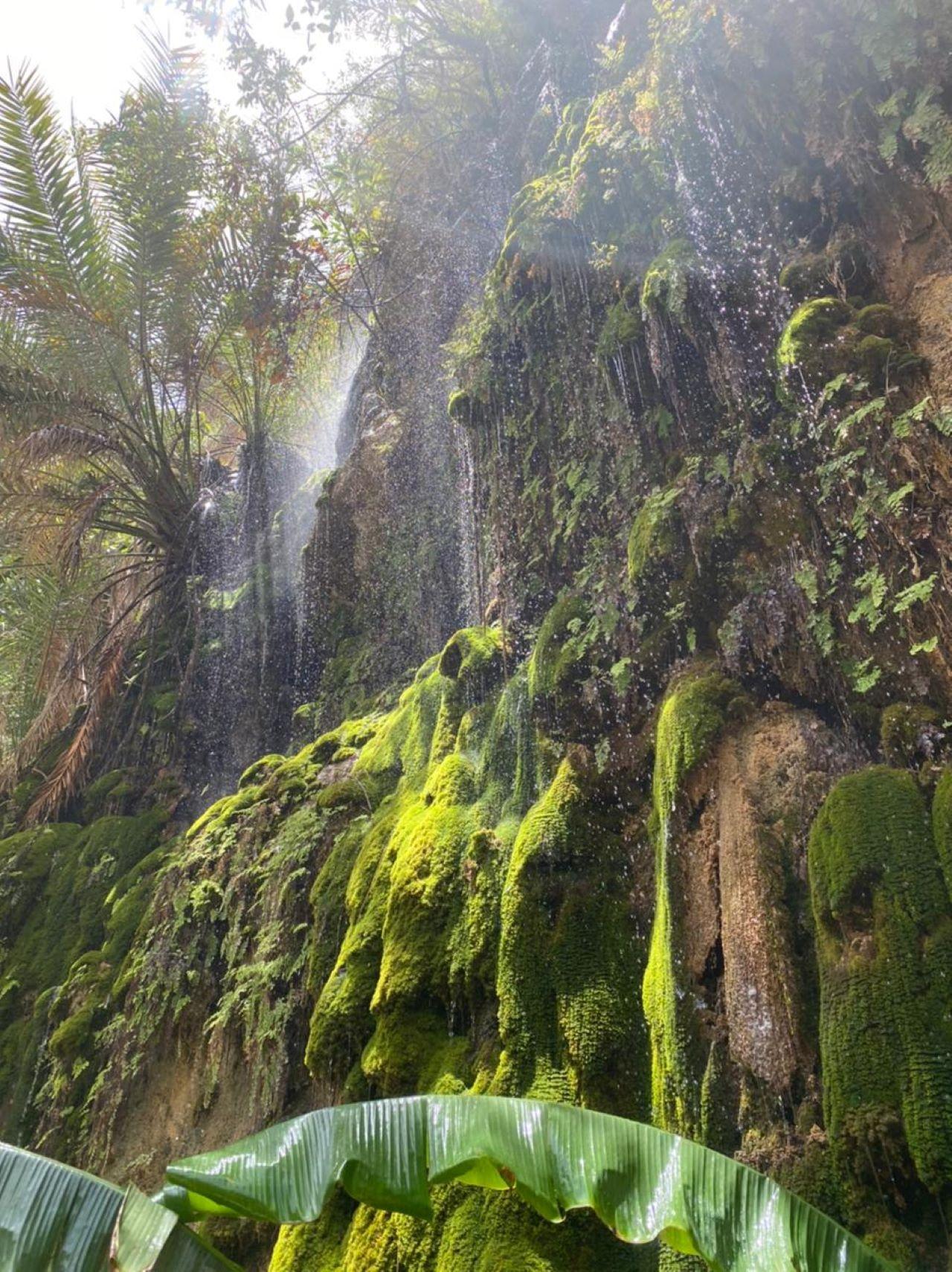 Private Day Trip to Wadi Tiwi, Fins Beach, Bimmah Sinkhole 3