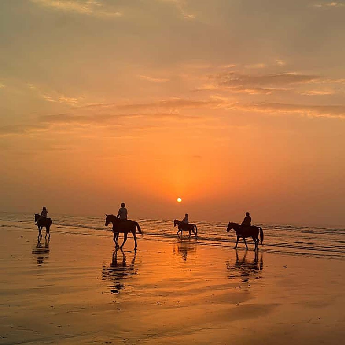 Muscat: Sunset Horse Riding on the Beach + Private Transfer 2