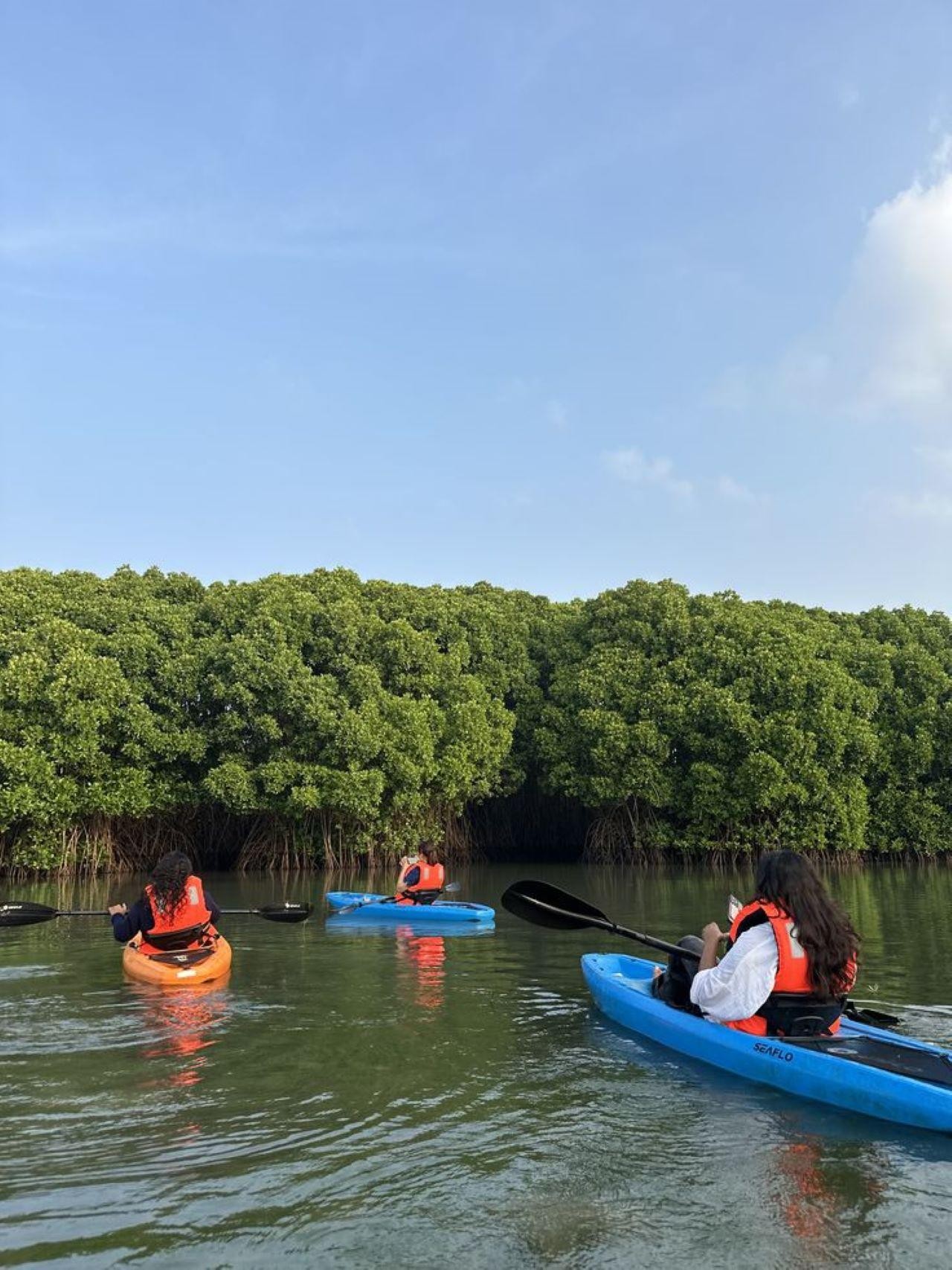 Mangrove 1-hour Kayaking in Al Thakira Reserve