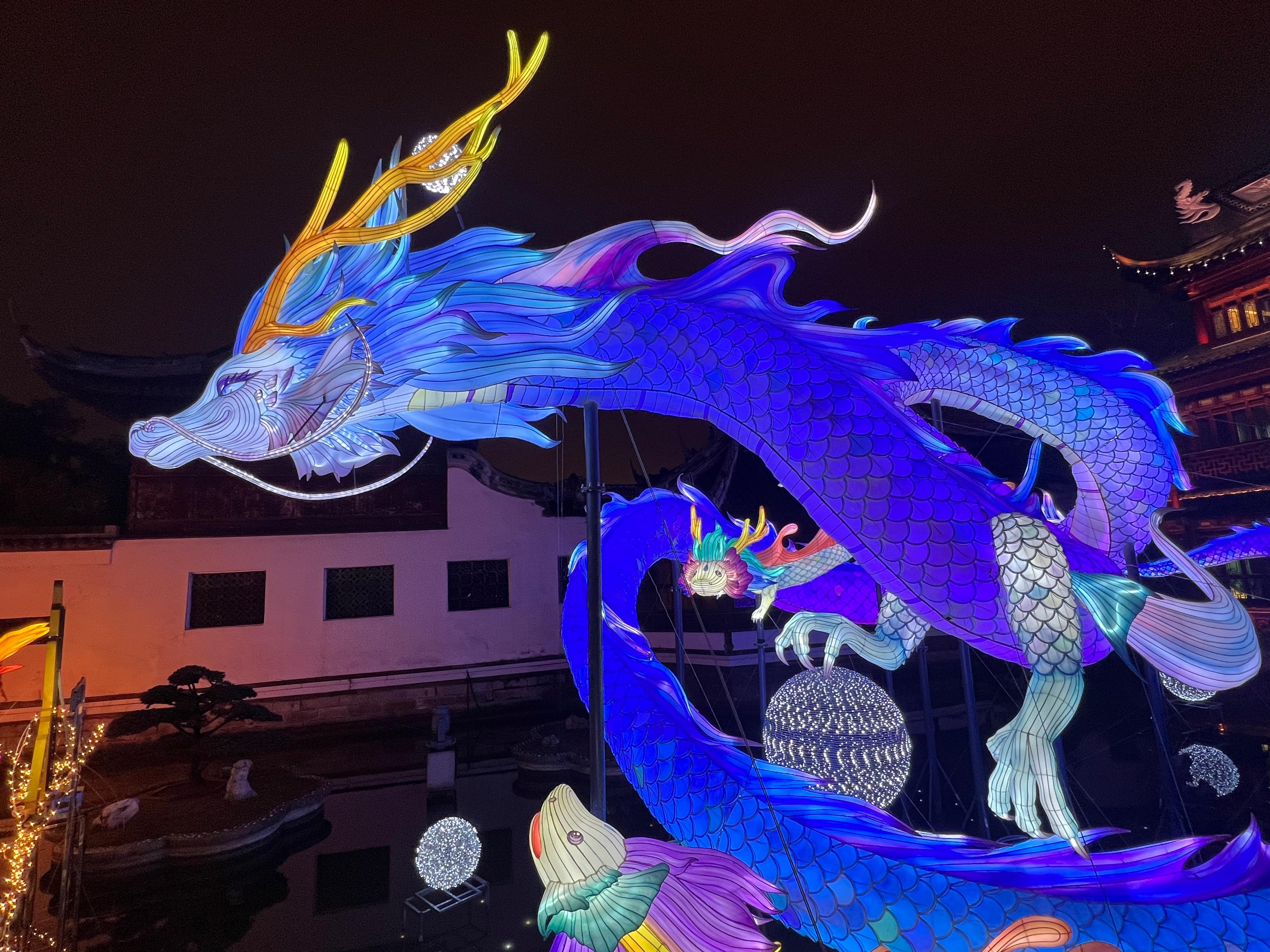 Shanghai: Private Tour in French, from Must-Sees to Local Secrets 3
