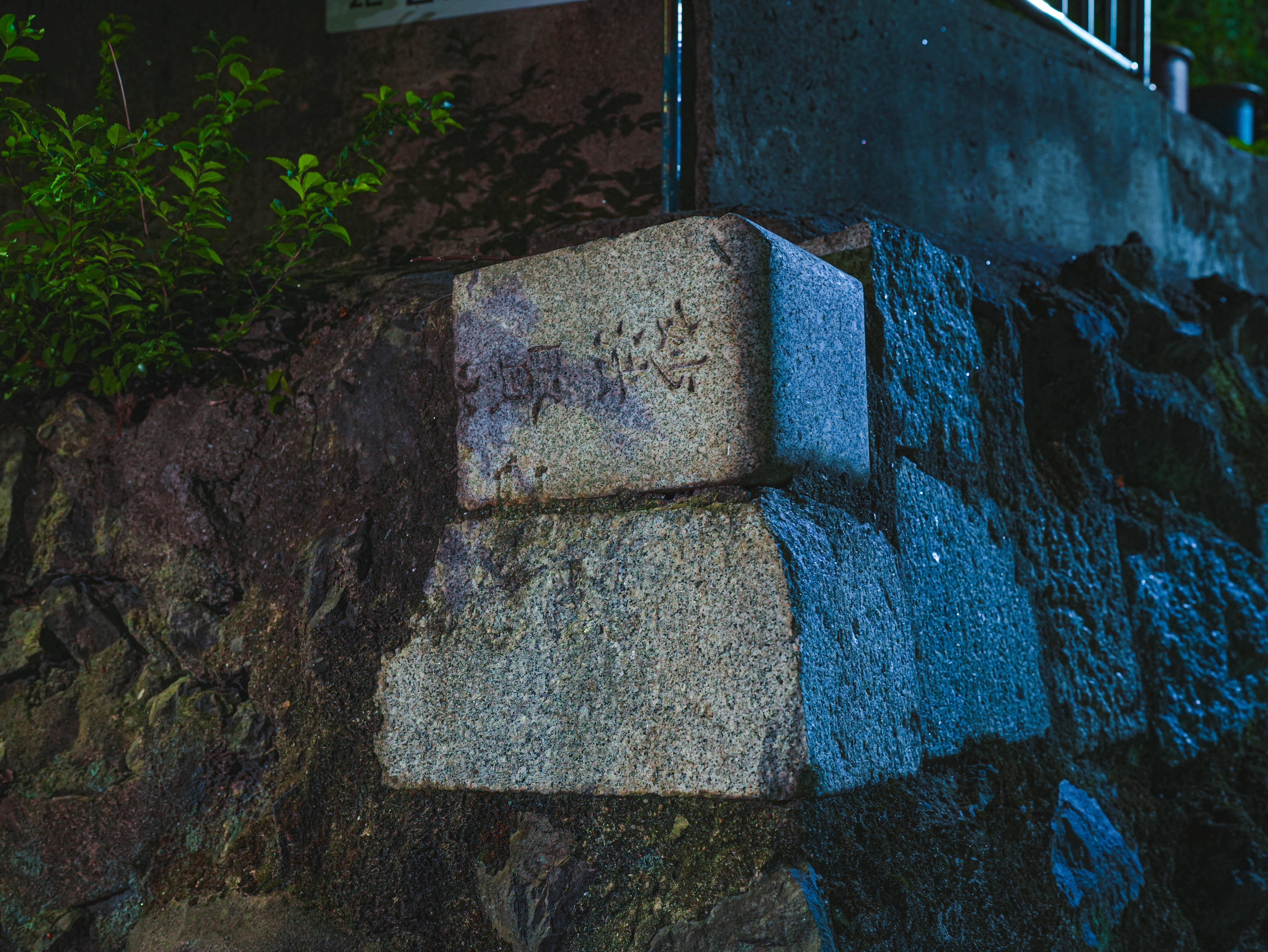 Busan: Dark History & Ghost Stories Night Walking Tour