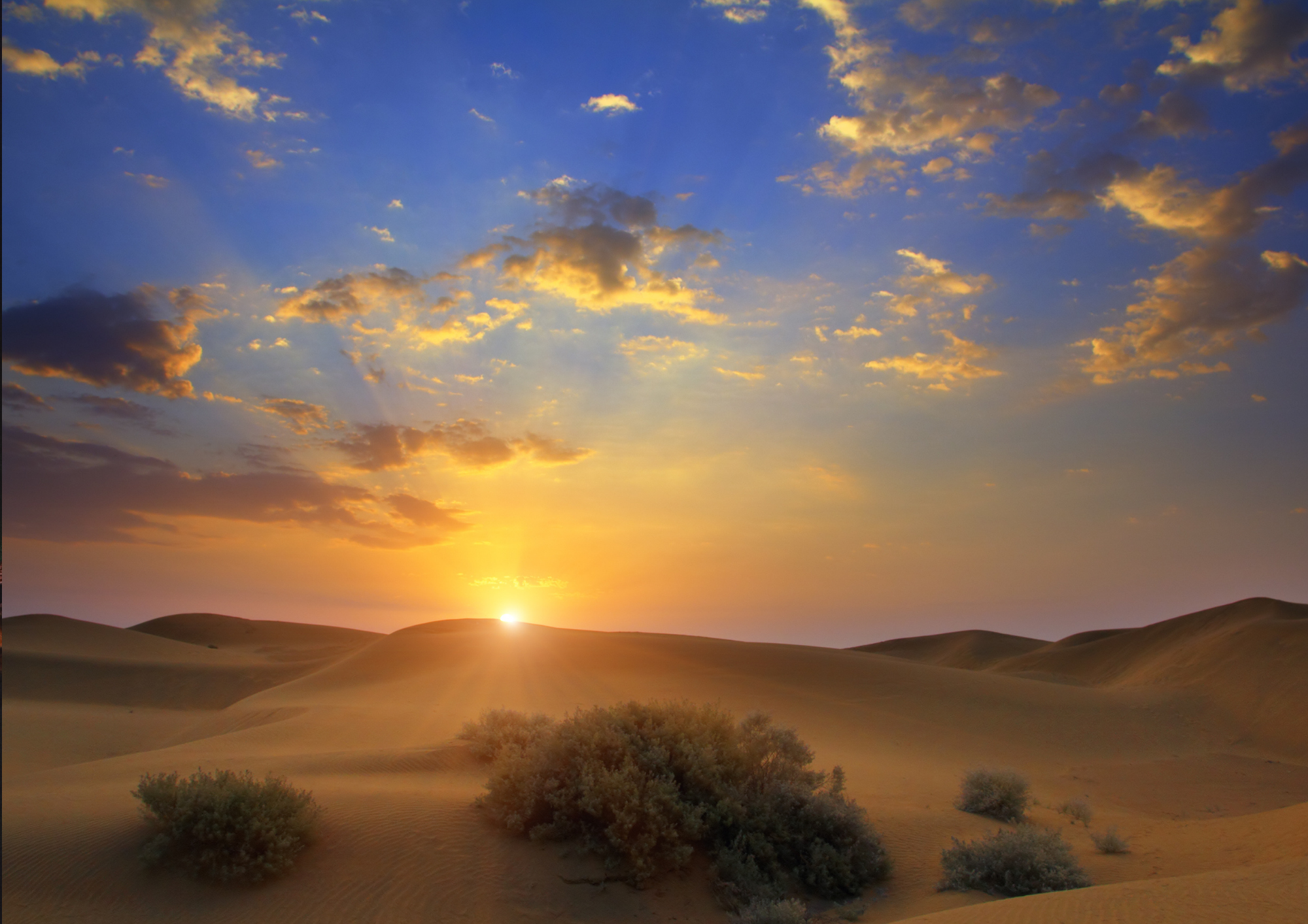 Sunrise : Privare Dune Bashing, Camel Ride & Sandboarding