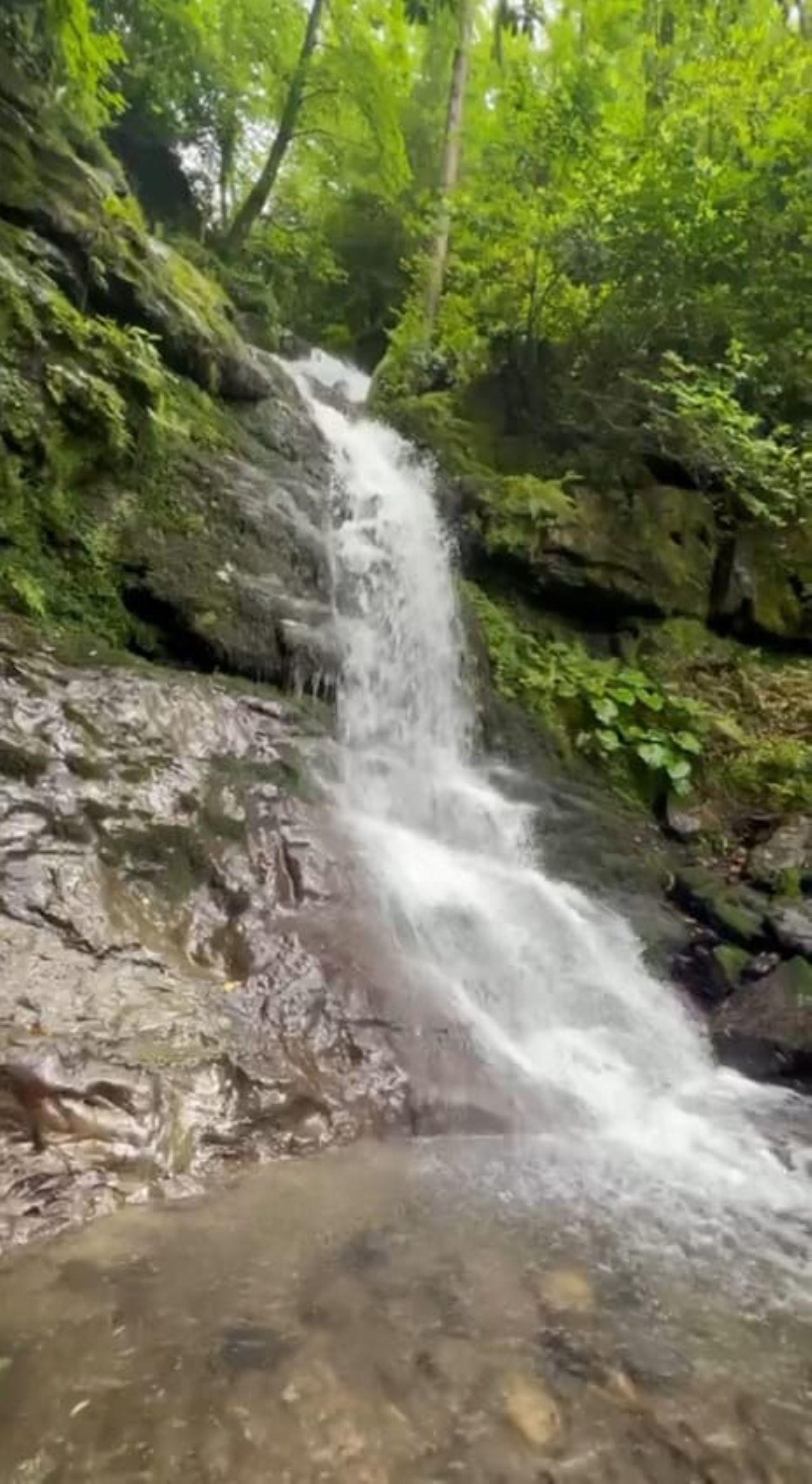 Discover Ajarian mountains with a flavor of wine 2
