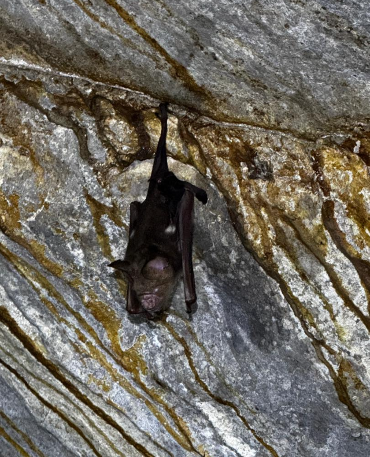 Kuching: Fairy Cave & Wind Cave 3