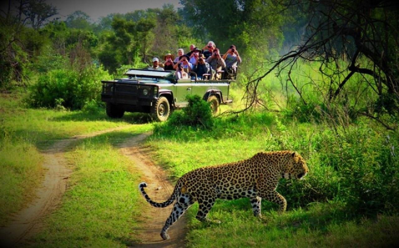 From Kathmandu/Pokhara: 3-Day All-In Chitwan Jungle Safari 3