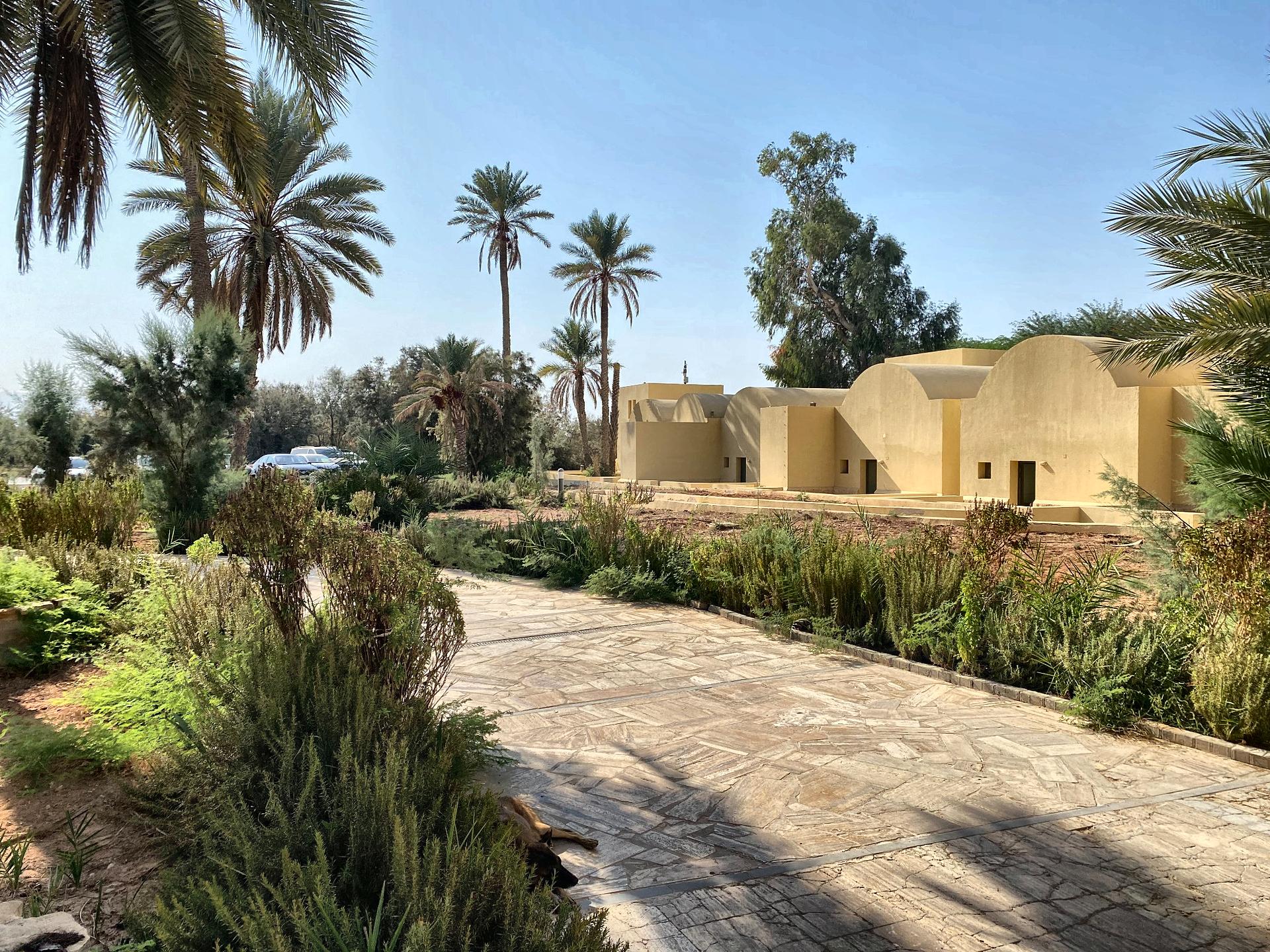 From Amman: Madaba Mosaic Workshop, Baptism Site & Dead Sea 3
